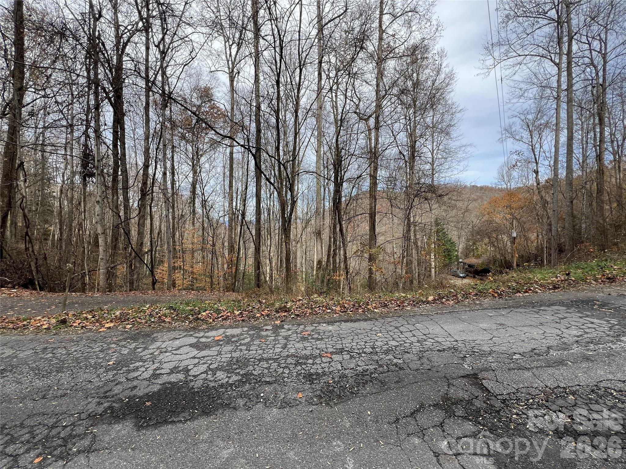 Deer Ridge - Land