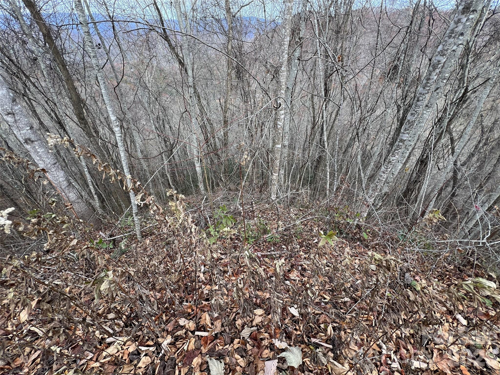 Best possible views are from the top of this lot.  This property feels secluded but is only 18 minutes to town, very close to the Little Tennessee River, and located between town and the Nantahala Gorge/GSMP. With some tree trimming at the top of the lot you can enjoy the incredible views while you absorb the peace and tranquility of your surroundings! All while living within minutes to hiking, biking, rafting, kayaking, etc., and the quaint shops and restaurants of picturesque downtown Bryson City.