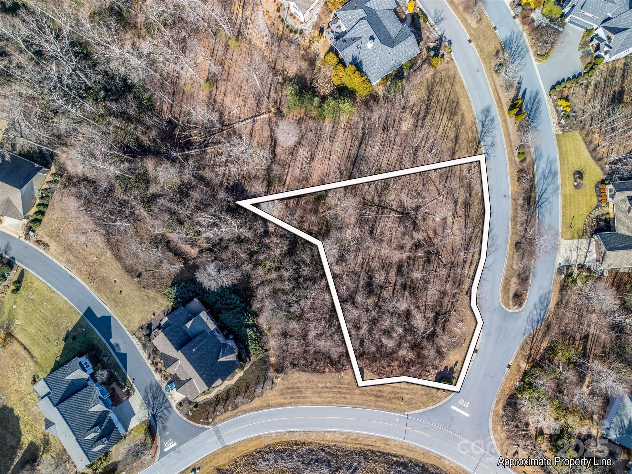 Discover the perfect location to build your dream home in the scenic beauty of the Blue Ridge Mountains! This spacious lot at 1509 Summit Hill Road offers a tranquil setting and plenty of room for your vision to come to life. Carriage Park has a clubhouse with a busy social calendar, indoor pool, tennis courts, ponds, 24- hour manned gate, and a lake. Nestled in a peaceful neighborhood with easy access to downtown Hendersonville, local amenities, dining, shopping, and outdoor activities like hiking, boating, and more.