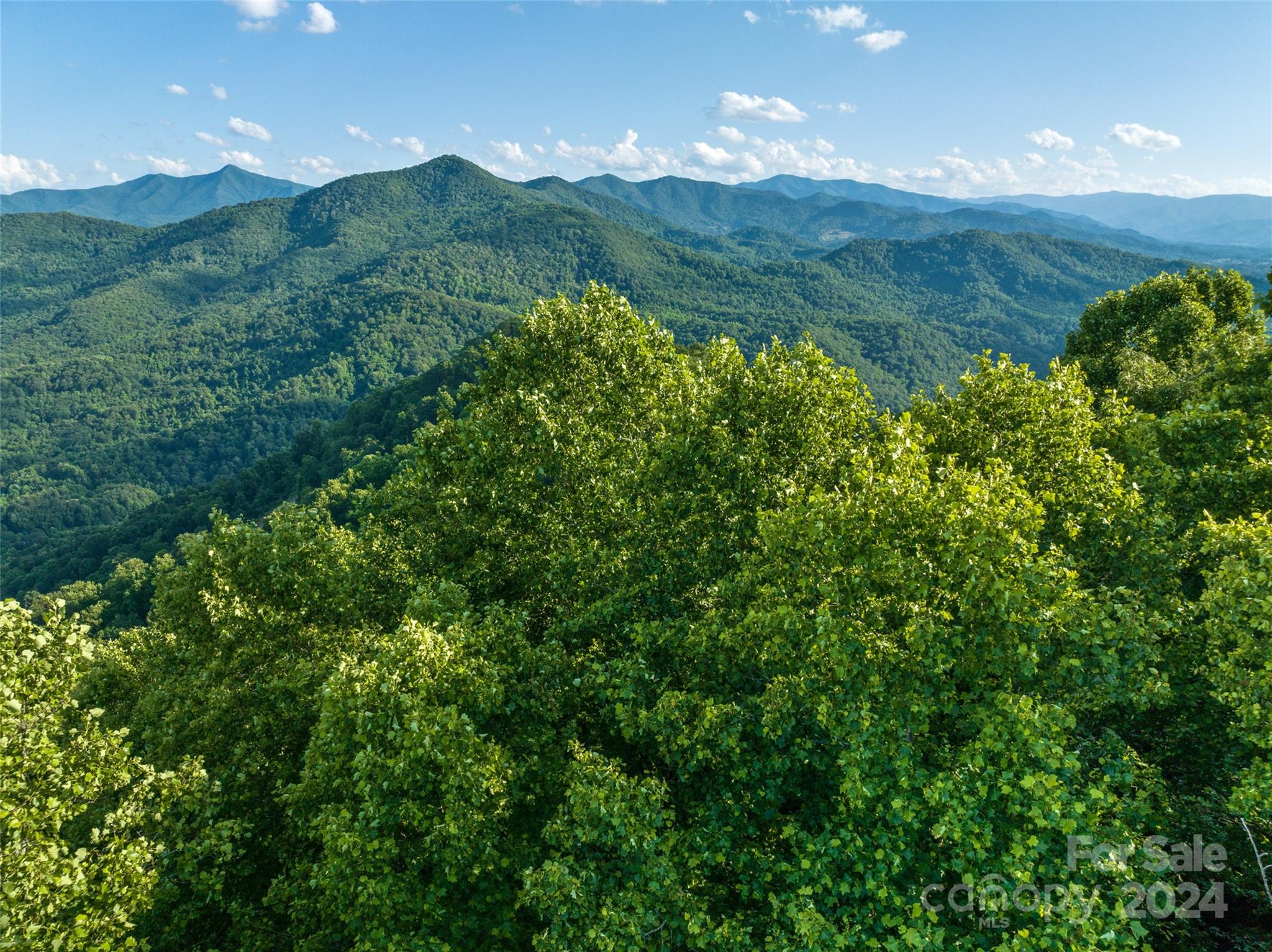 The Summit Of Asheville - Land