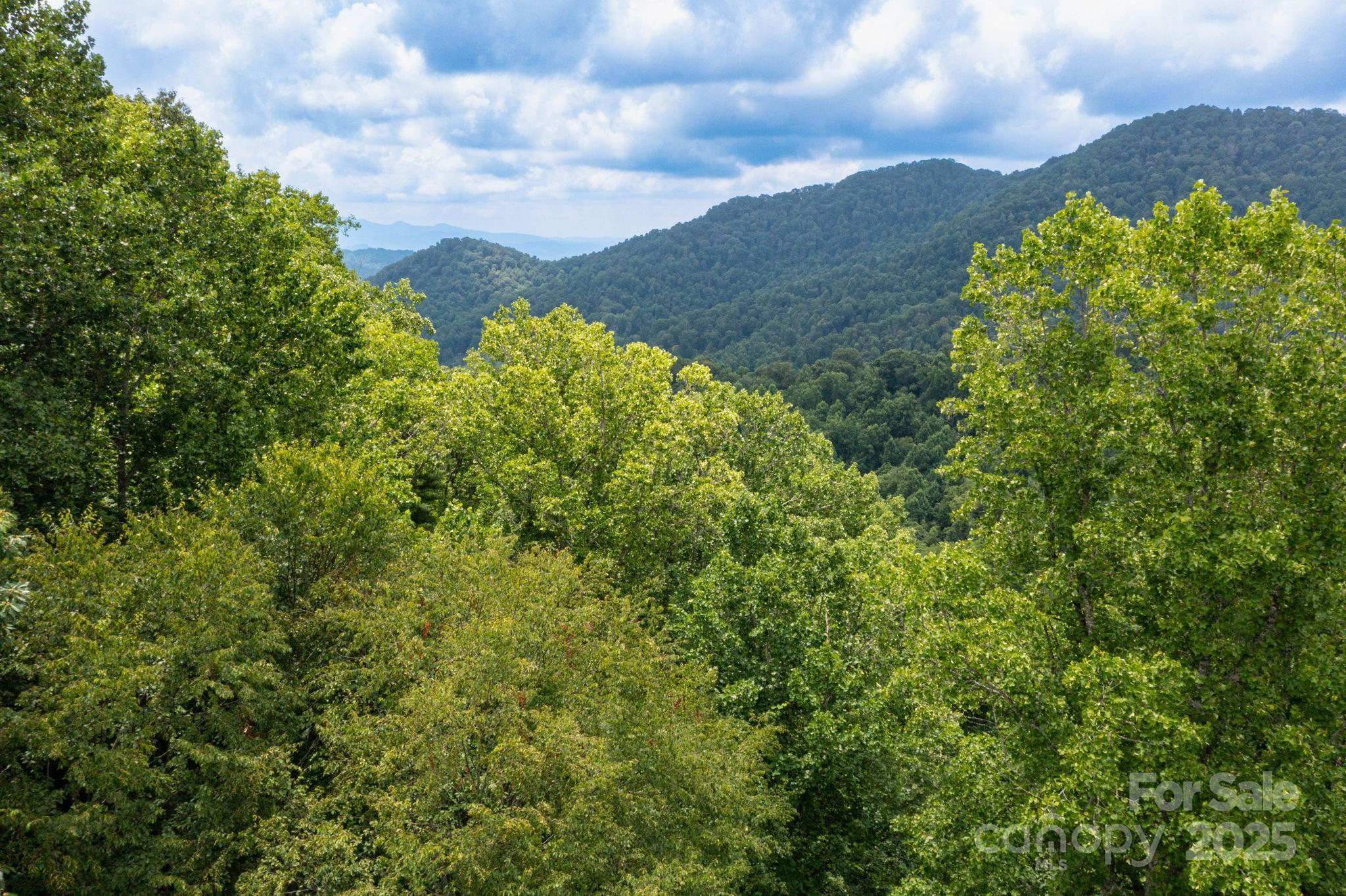 Laurel Highlands - Residential