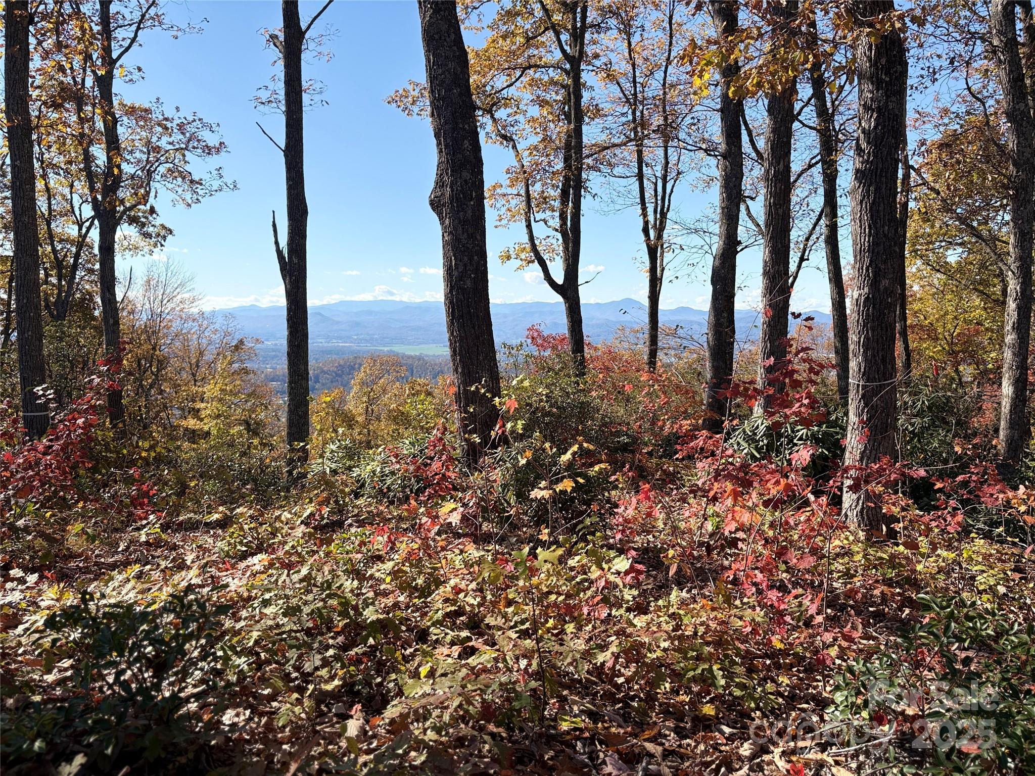 Welcome to Lot 64 Feather Stone Drive, located in the iconic community of Couch Mountain. Lot 64 offers expansive long-range mountain views, including views of Mount Pisgah! This private homesite provides relatively flat topography, along with easy access to the Maple Hollow Trail located across the road. Located in Couch Mountain, this 395-acre low-density community offers residents the opportunity to walk out their door and step into nature, featuring approximately 4 miles of hiking trails located in the 138-acre Nature Preserve. Spend your days in the community gardens and greenhouse and enjoy honey from the beehives. Conveniently situated between Hendersonville and Asheville, offering easy access to both mountain towns.