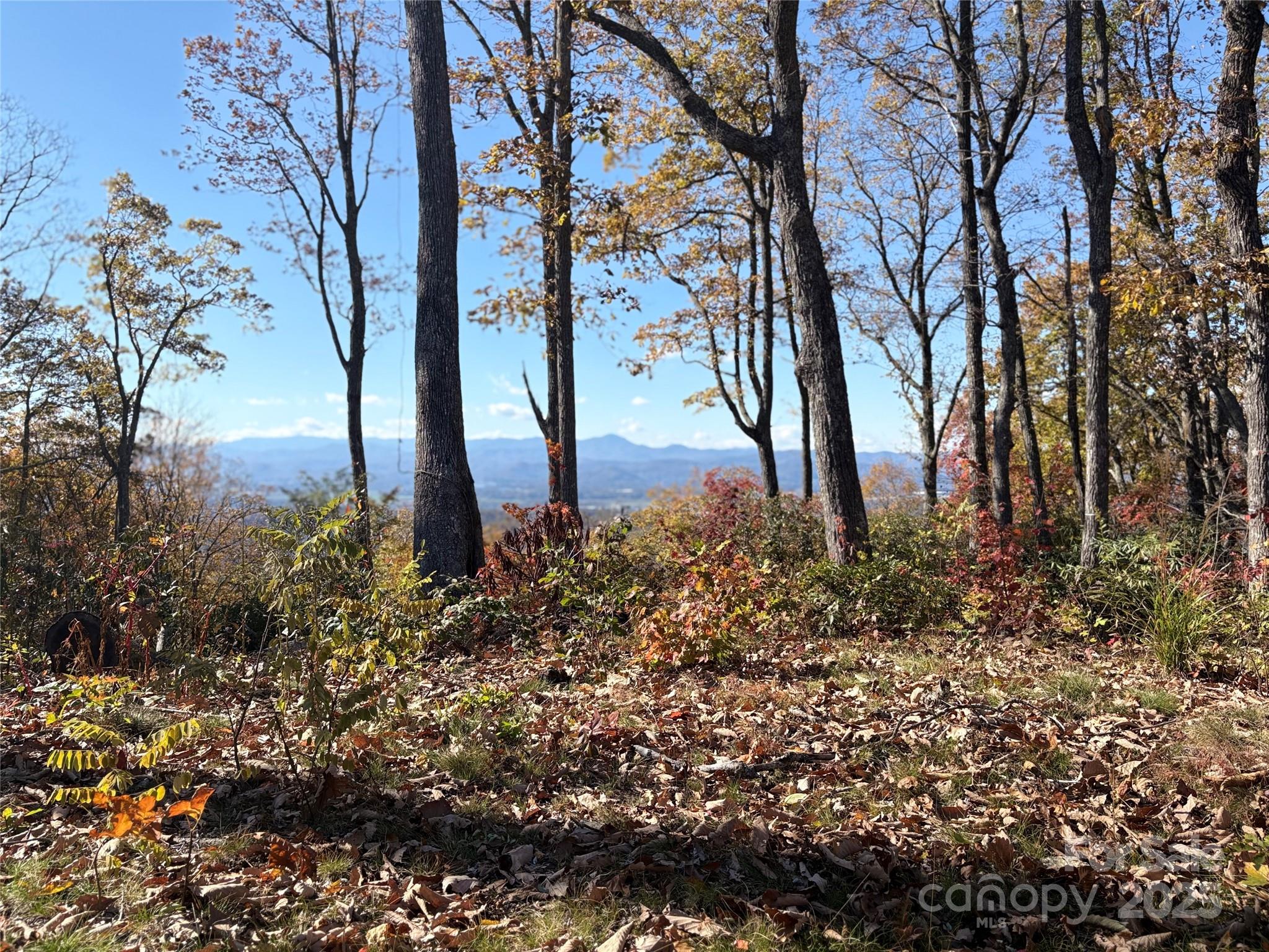 Couch Mountain - Land