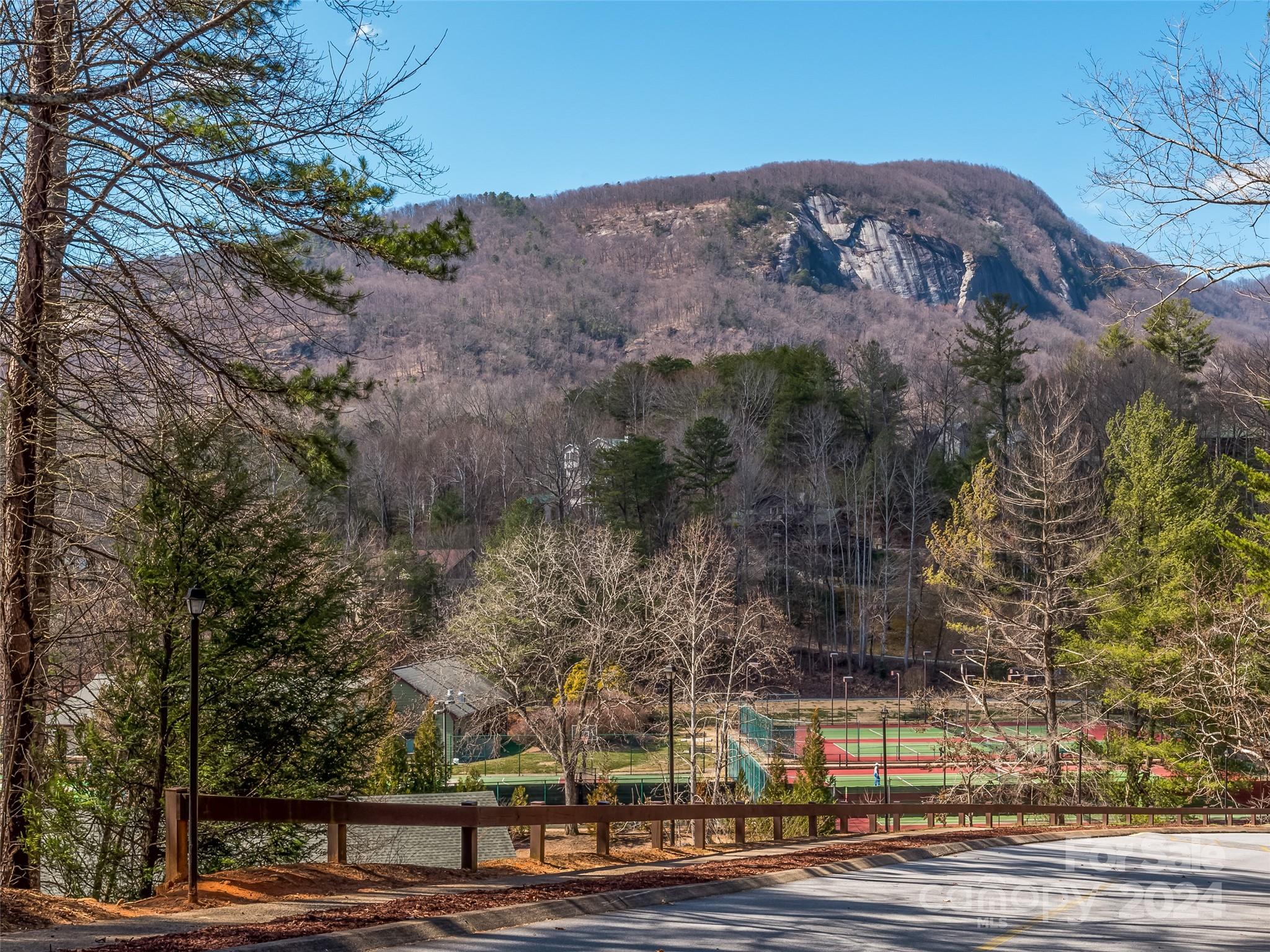Rumbling Bald on Lake Lure - Land