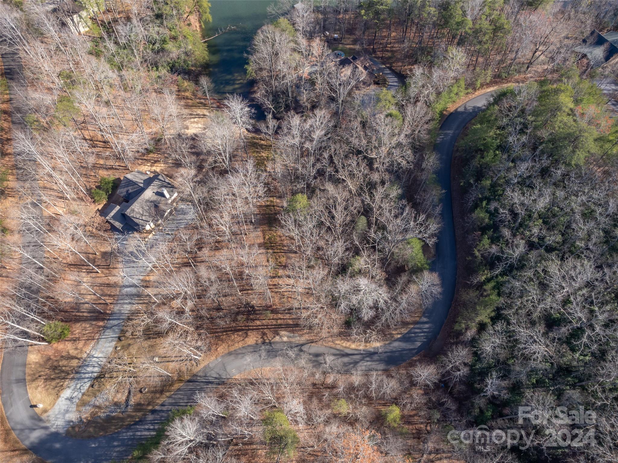Rumbling Bald on Lake Lure - Land