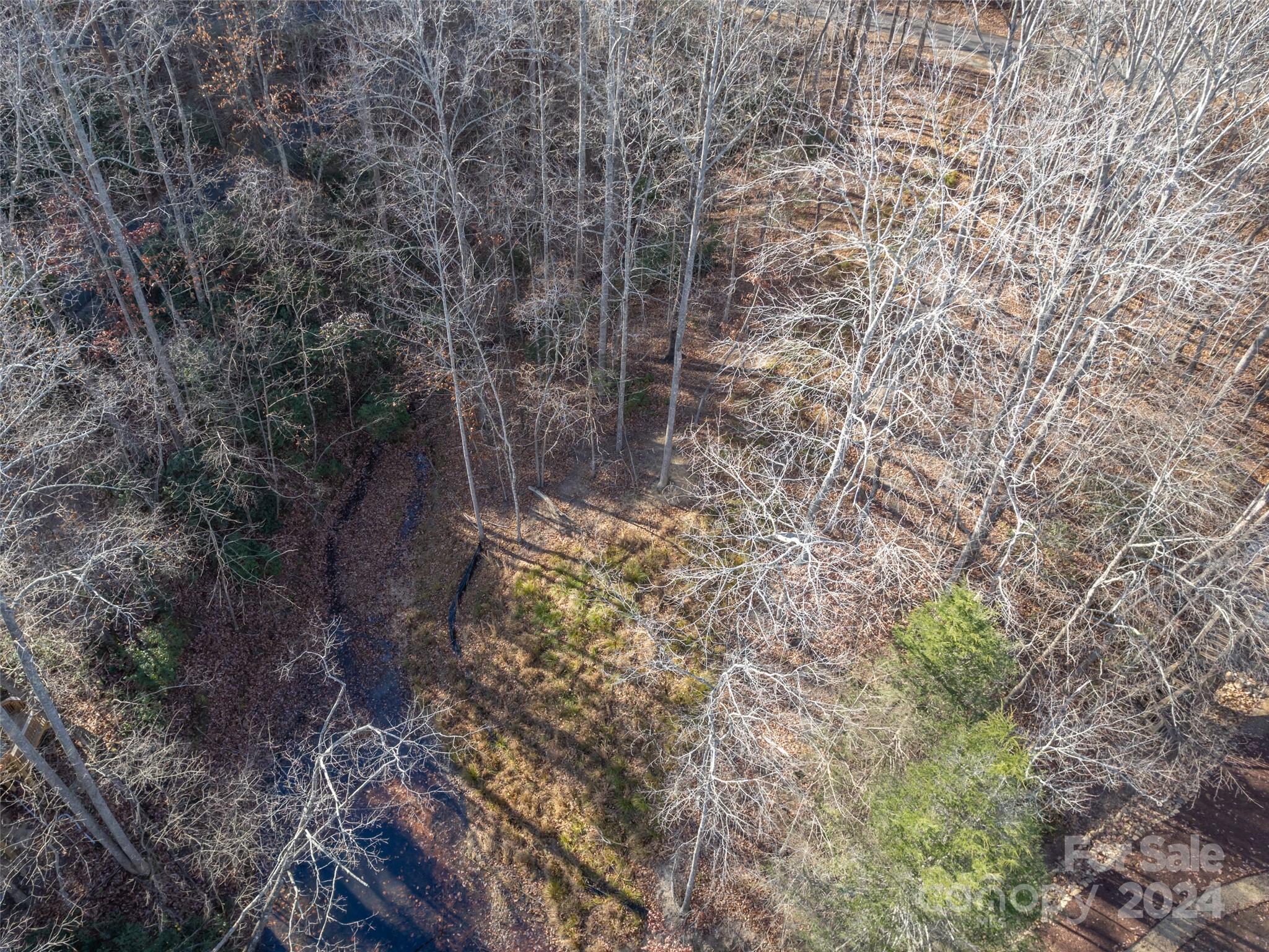 Rumbling Bald on Lake Lure - Land