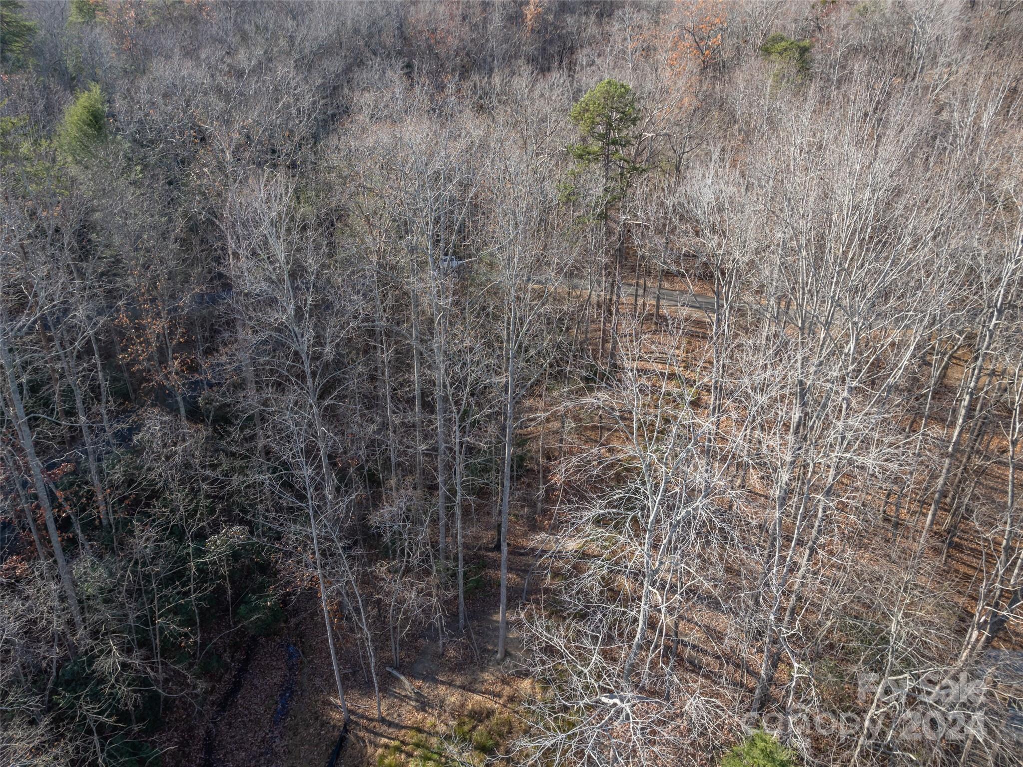Rumbling Bald on Lake Lure - Land