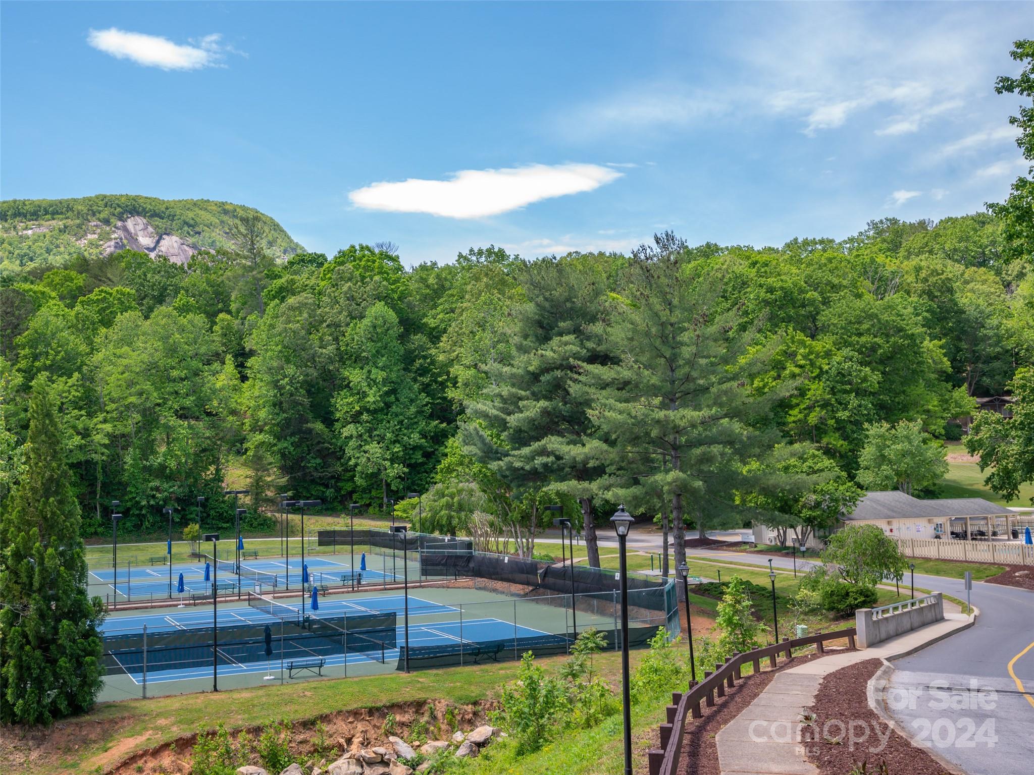 Rumbling Bald on Lake Lure - Land