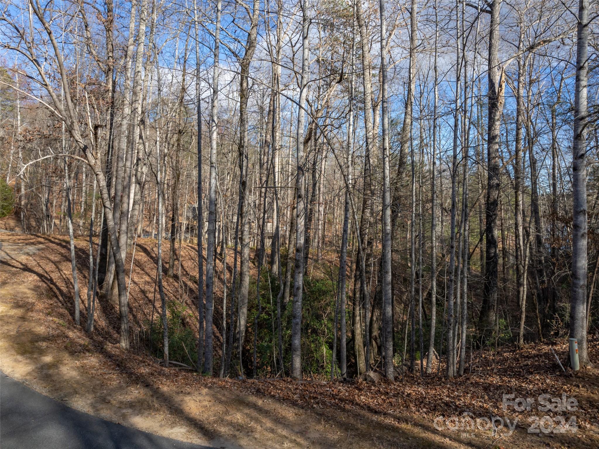 Rumbling Bald on Lake Lure - Land