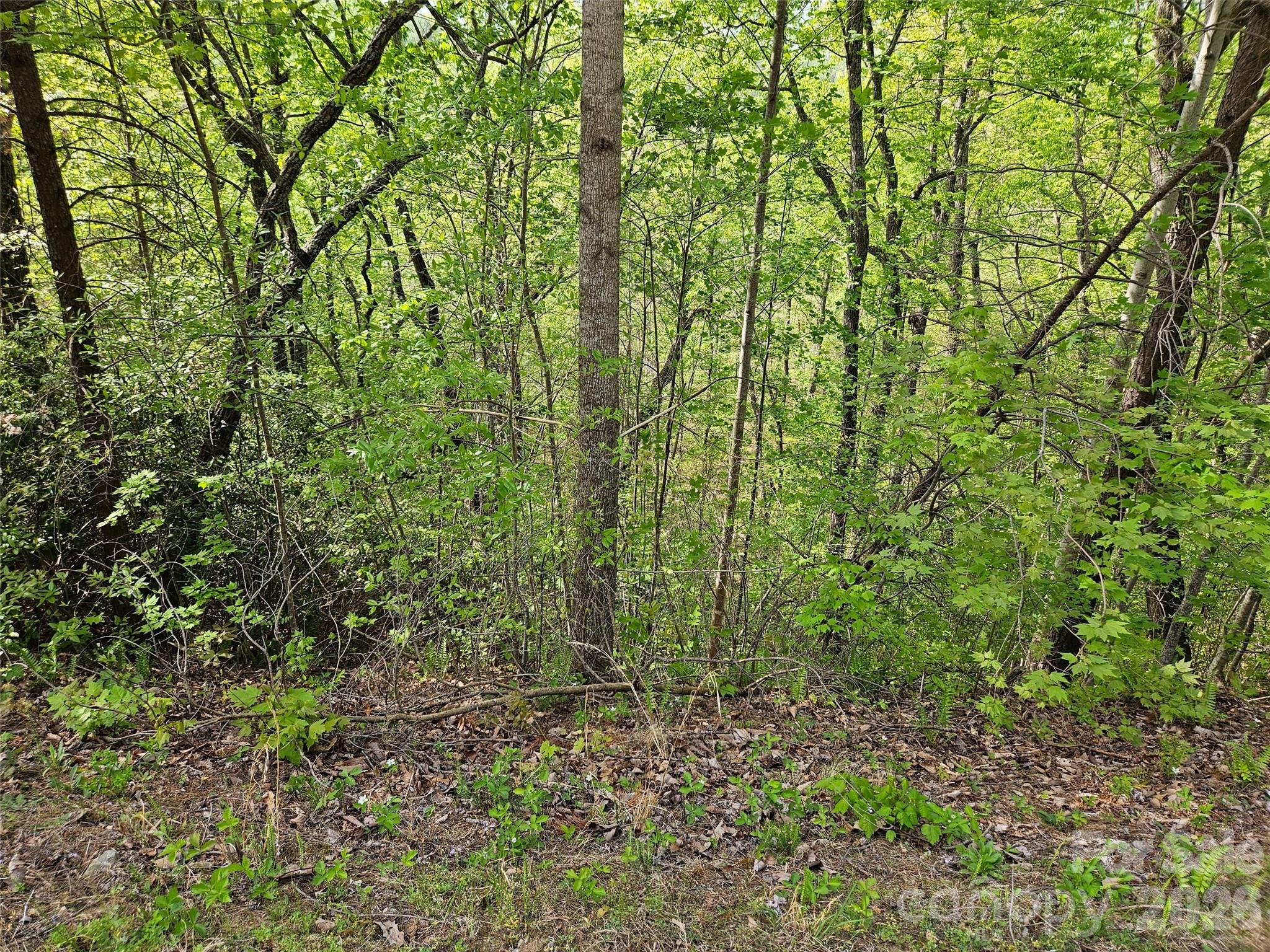Vista At Bills Mountain - Land