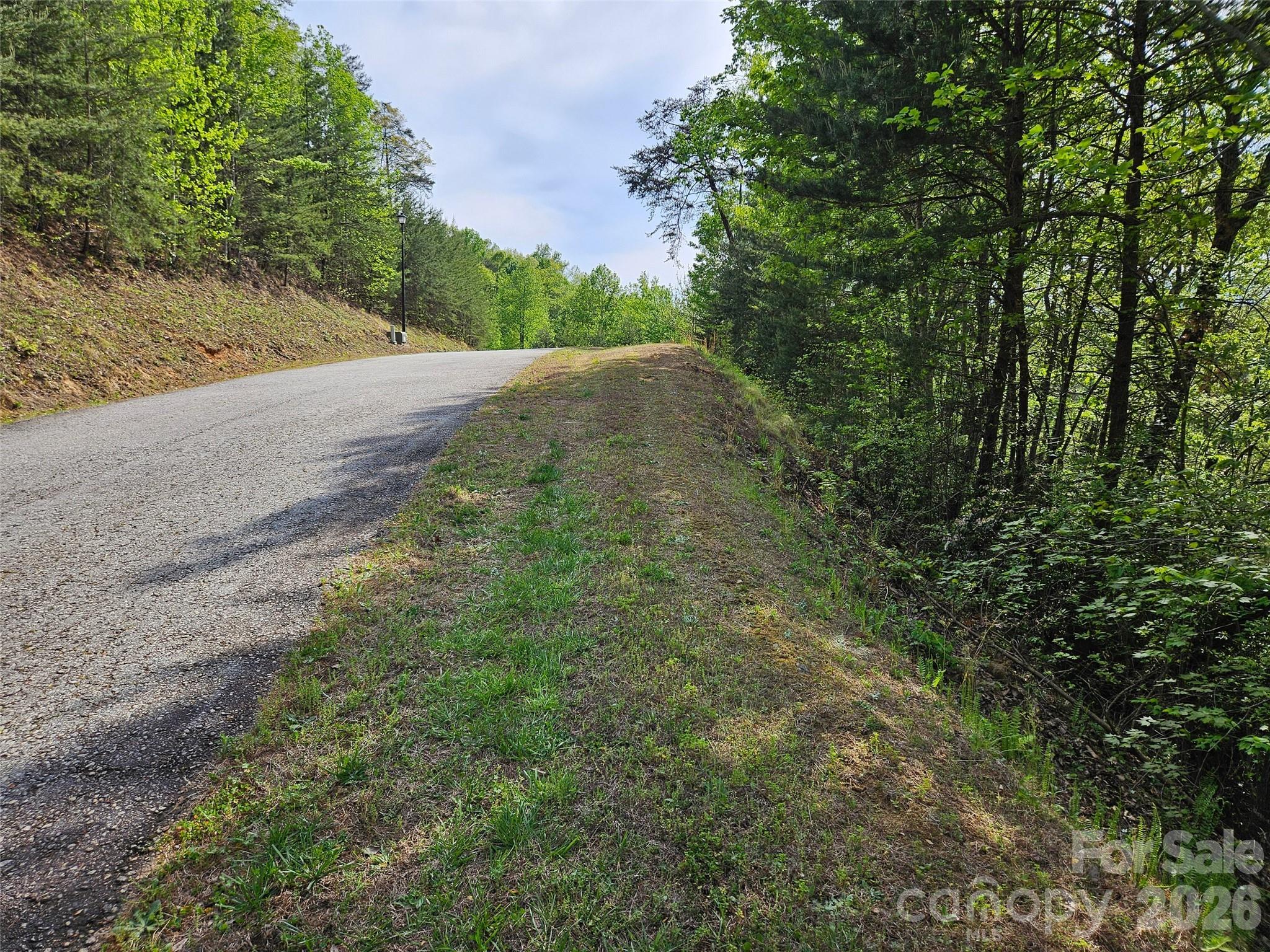 Lot 101 in the sought-after Vista at Bills Mountain offers an opportunity to build your dream home in one of Lake Lure’s premier gated communities. Just minutes from the charm and beauty of Lake Lure, you’ll enjoy easy access to boating, hiking, golf, and endless outdoor recreation that keeps the whole family engaged. Vista at Bills Mountain features upscale amenities including a clubhouse, fitness center, pool, and scenic walking trails. Whether you're envisioning a full-time residence or a mountain retreat, this property delivers the perfect balance of tranquility and convenience. Experience mountain living in a community known for its natural beauty and refined lifestyle.