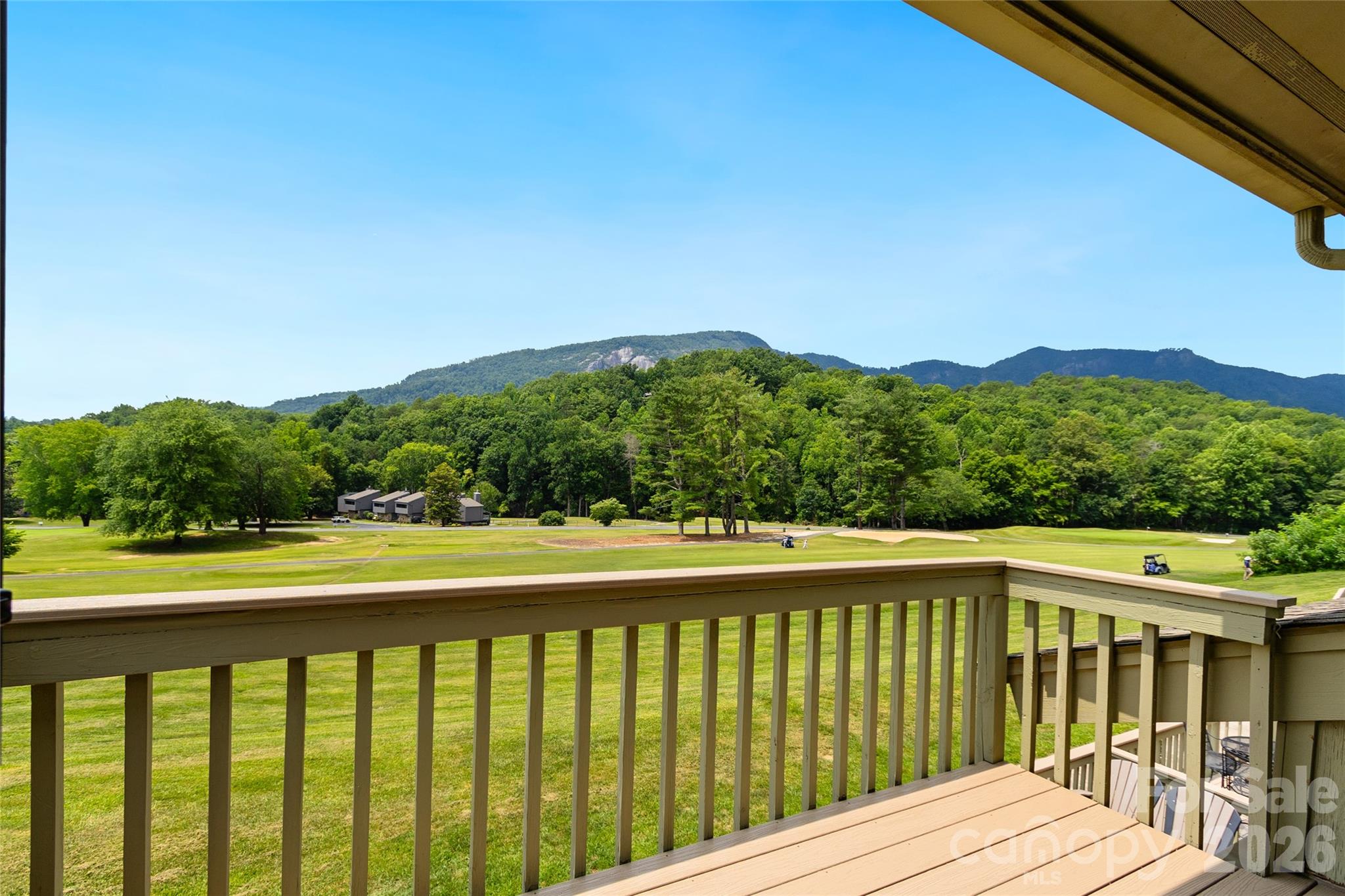 Rumbling Bald on Lake Lure - Residential