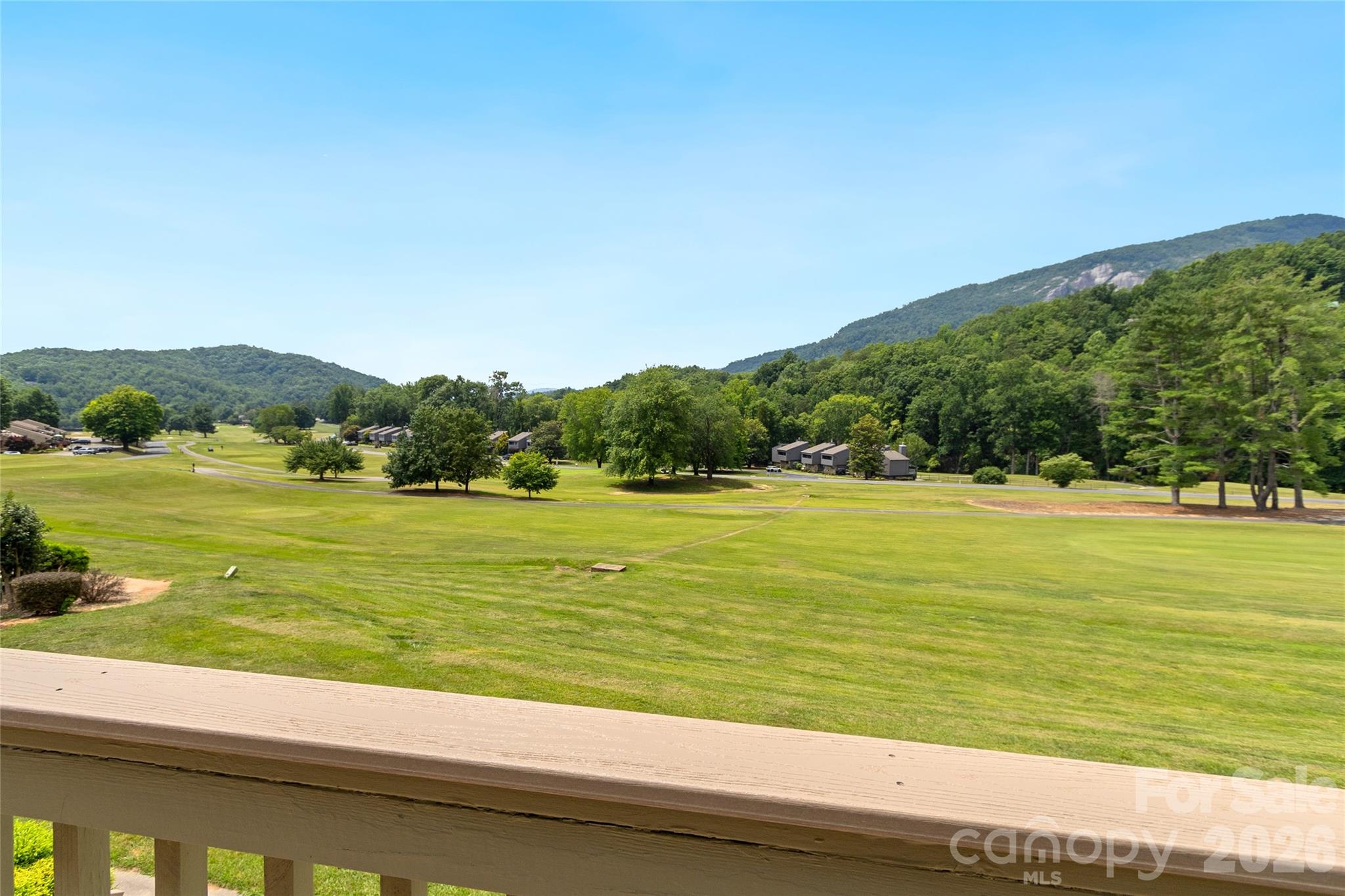Rumbling Bald on Lake Lure - Residential