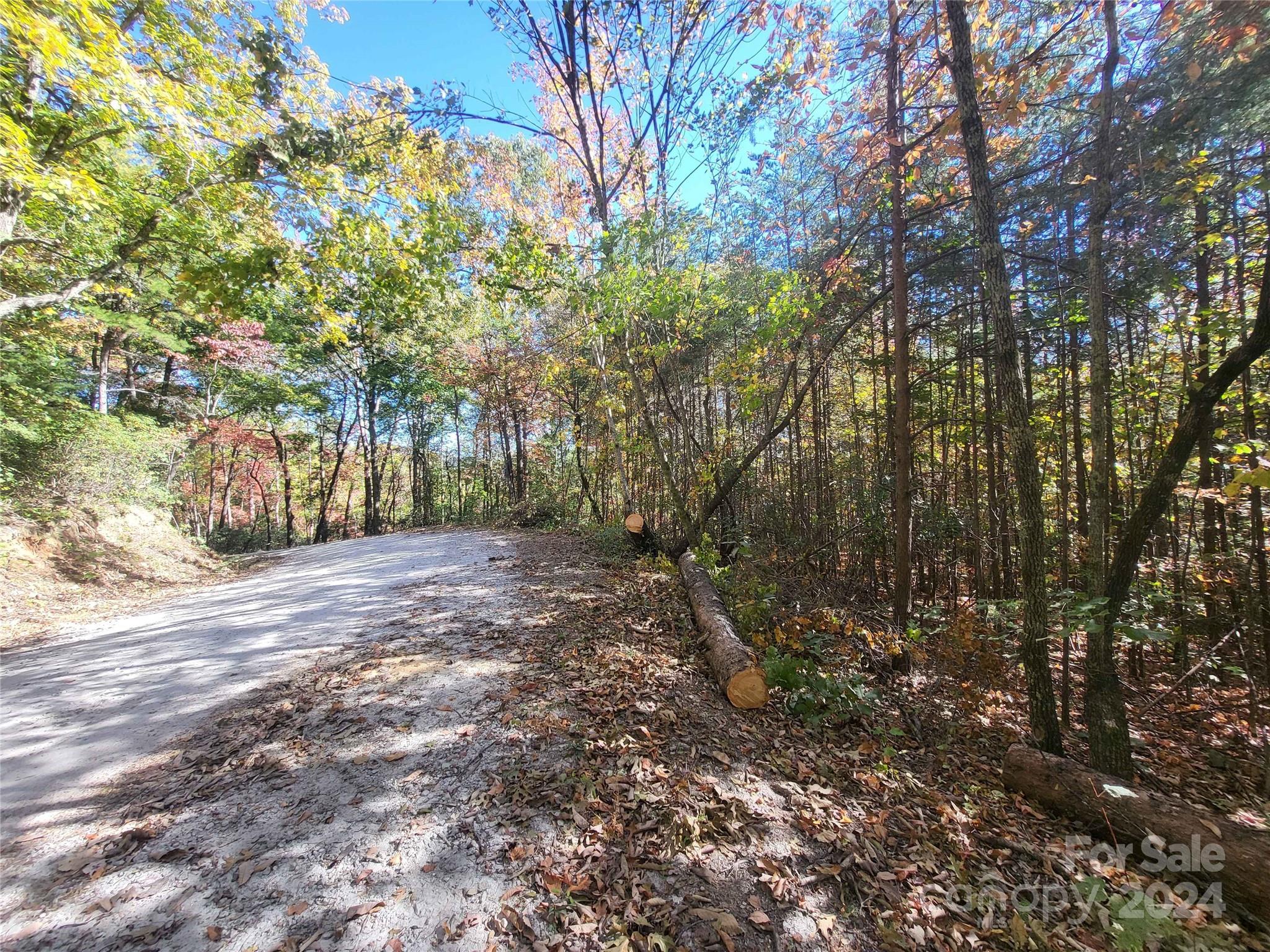 RARE OPPORTUNITY to find land adjacent to STATE OWNED property. Not only does it mean very few neighbors but if you LOVE TO HUNT,HIKE or VIEWING NATURE this piece is PERFECT FOR YOU! UNRESTRICTED property that is a short walk to Ashmore Heritage Preserve which offers 7.1 miles of moderate hiking crossing streams and will take you along the Wattacoo Lake Loop.