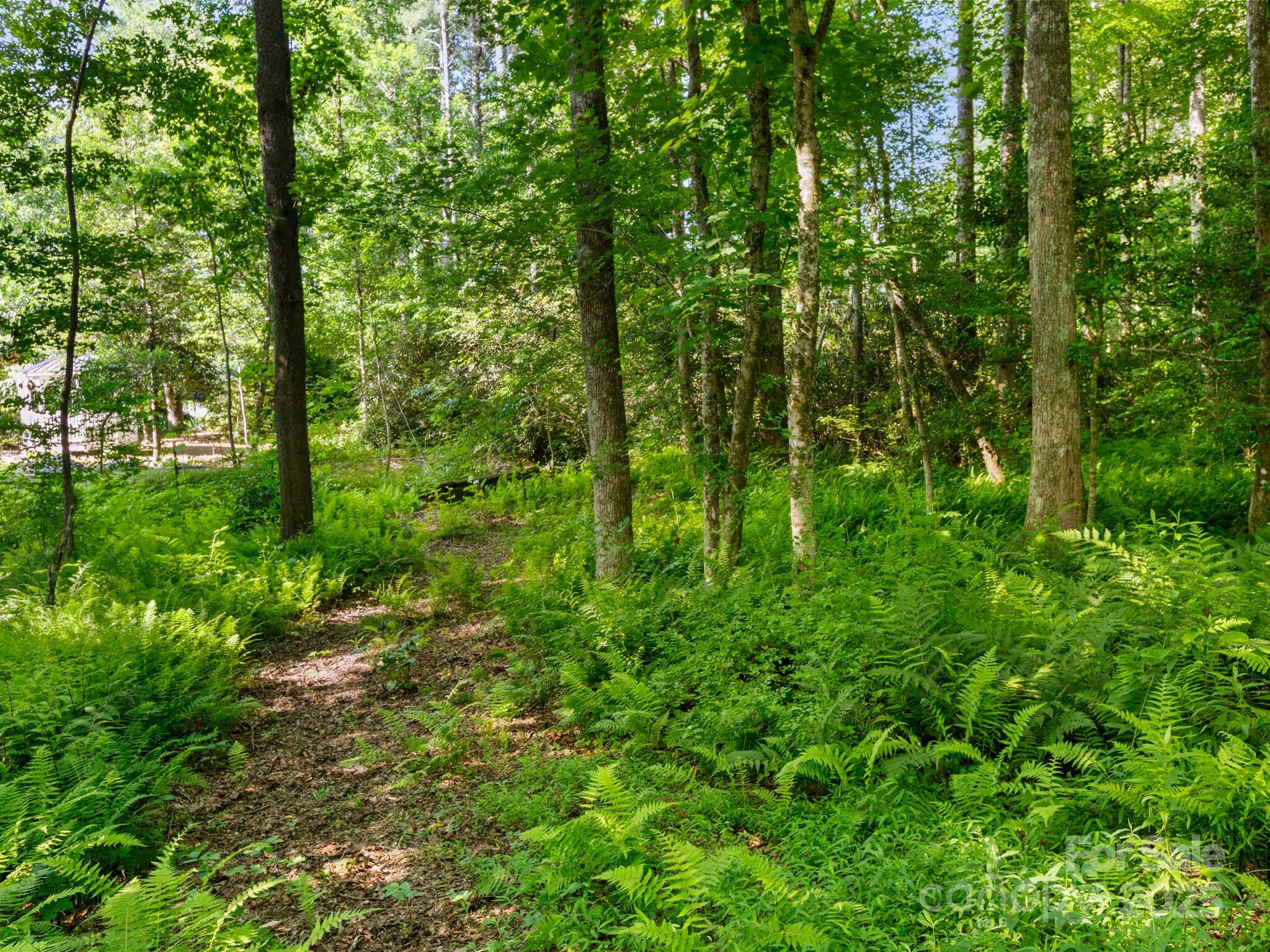 Woodhaven - Land