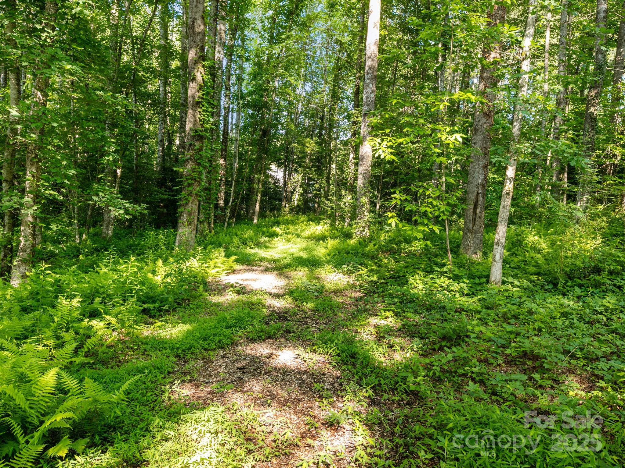 Woodhaven - Land