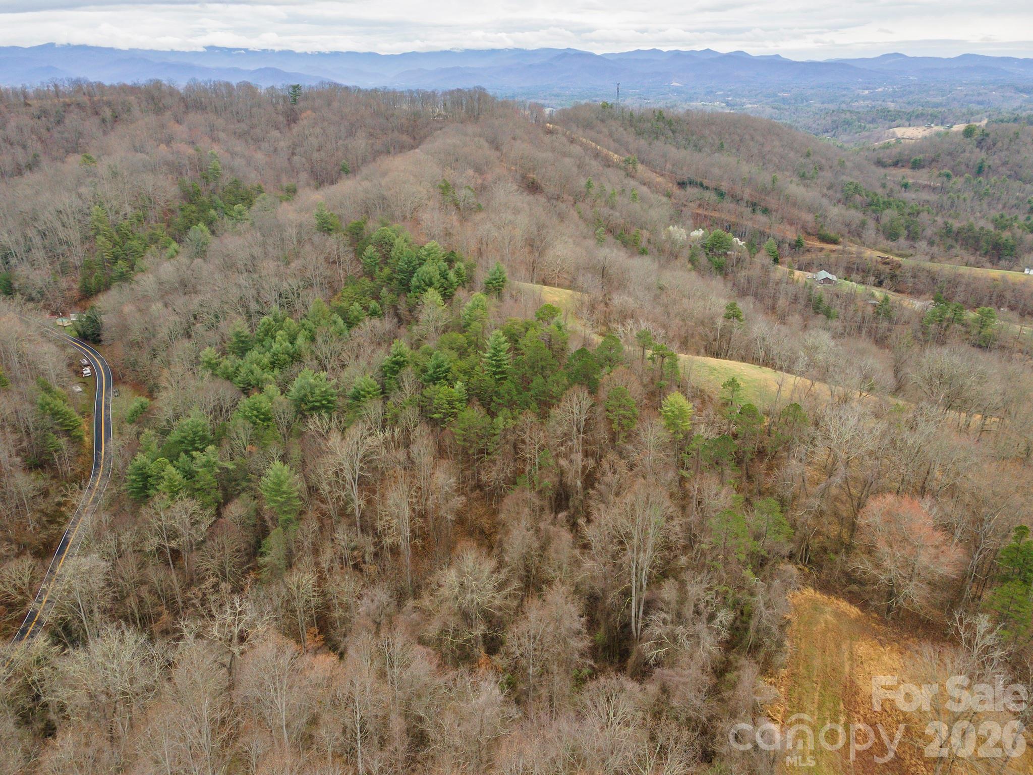 48 acres of endless potential in Marshall with many potential building sites. Over 2000 ft. of road frontage on Ammons Branch Rd & Madison Heights Rd. Only 10 minutes to downtown Marshall and 30 min to Asheville. Once part of a family tobacco farm, the land has remained practically untouched for decades, preserving its natural character and quiet mountain setting. Whether you're looking for a private homesite, or a family compound this property offers a rare opportunity to own a piece of countryside that has been in the same family for nearly 60 years. Reach out to the listing agent with any questions!