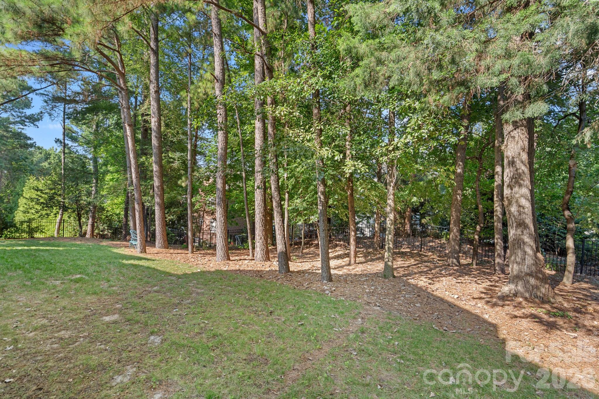 Lake Shore - Residential