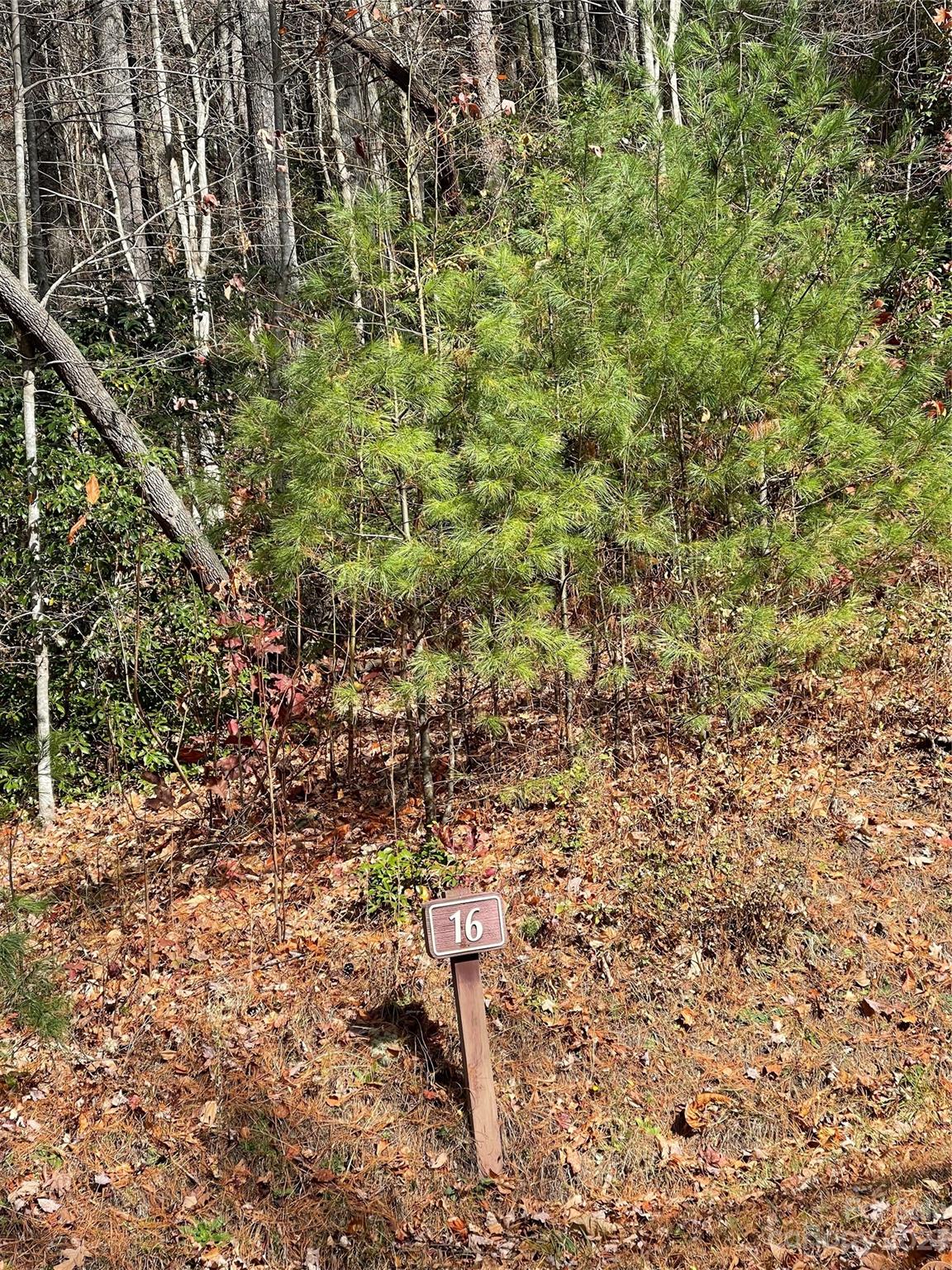 Very Private building site designed to capture the spirit of outdoor living lies Pinnacle Falls, a private gated community where over half the property is preserved and protected as common area to be enjoyed by all residents. Features clubhouse lodge, pool, hot tub, fitness area, hiking trails, waterfalls, ponds and streams. Underground utilities. Minutes to Downtown Hendersonville. This is truly A PLACE LIKE NO OTHER!