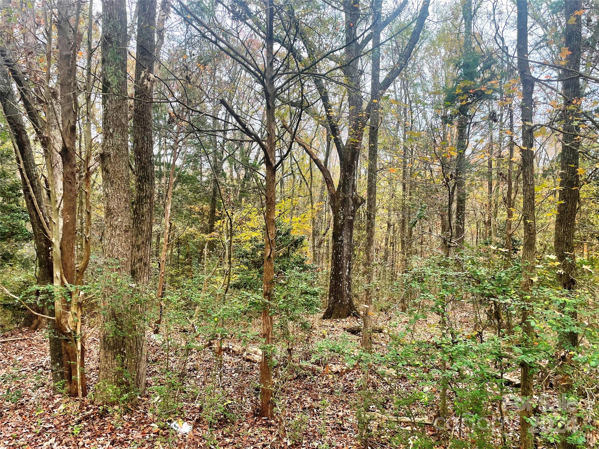 Very nice residential lot in a very nice setting. Great place to build your dream home on a large lot with mature hardwoods and a gently sloping terrain. Lot has several possible homesites. It backs up to a large tract providing lots of privacy. Great location and very convenient to I-77.