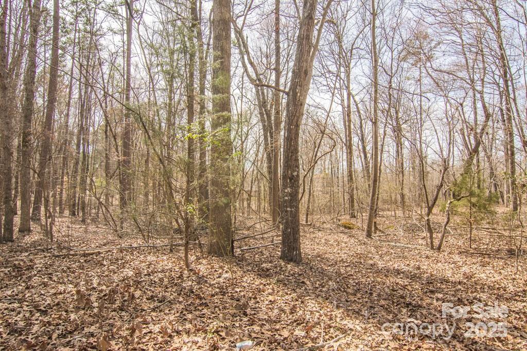 Nestled off scenic Jim Wilson Road, this rare 4.66-acre parcel is a blank canvas for your vision. Gently rolling hills, mature hardwoods, and a peaceful creek create a park-like setting—perfect for a private estate, multi-generational compound, collection of cottages, hobby farm, or equestrian retreat. With no HOA restrictions, the possibilities are wide open. Carve out walking paths along the creek, plant orchards or gardens, design outdoor living spaces, or create a secluded family compound with room for multiple homes and shared gathering spaces.

Imagine building a custom estate with wraparound porches overlooking open meadows, adding guest homes or detached garages, creating equestrian facilities, or potentially subdividing (subject to county approval) to develop a charming enclave. The property offers the ideal balance of privacy, flexibility, and future potential in one of the region’s fastest-growing areas.

Living here means enjoying a peaceful, wooded setting while remaining just minutes from top-rated schools, shopping, dining, entertainment, Ballantyne, and Fort Mill. Indian Land’s continued growth, strong demand, and prime location make this property an exceptional opportunity for buyers seeking land, lifestyle, and long-term investment potential.  Call for more information today.