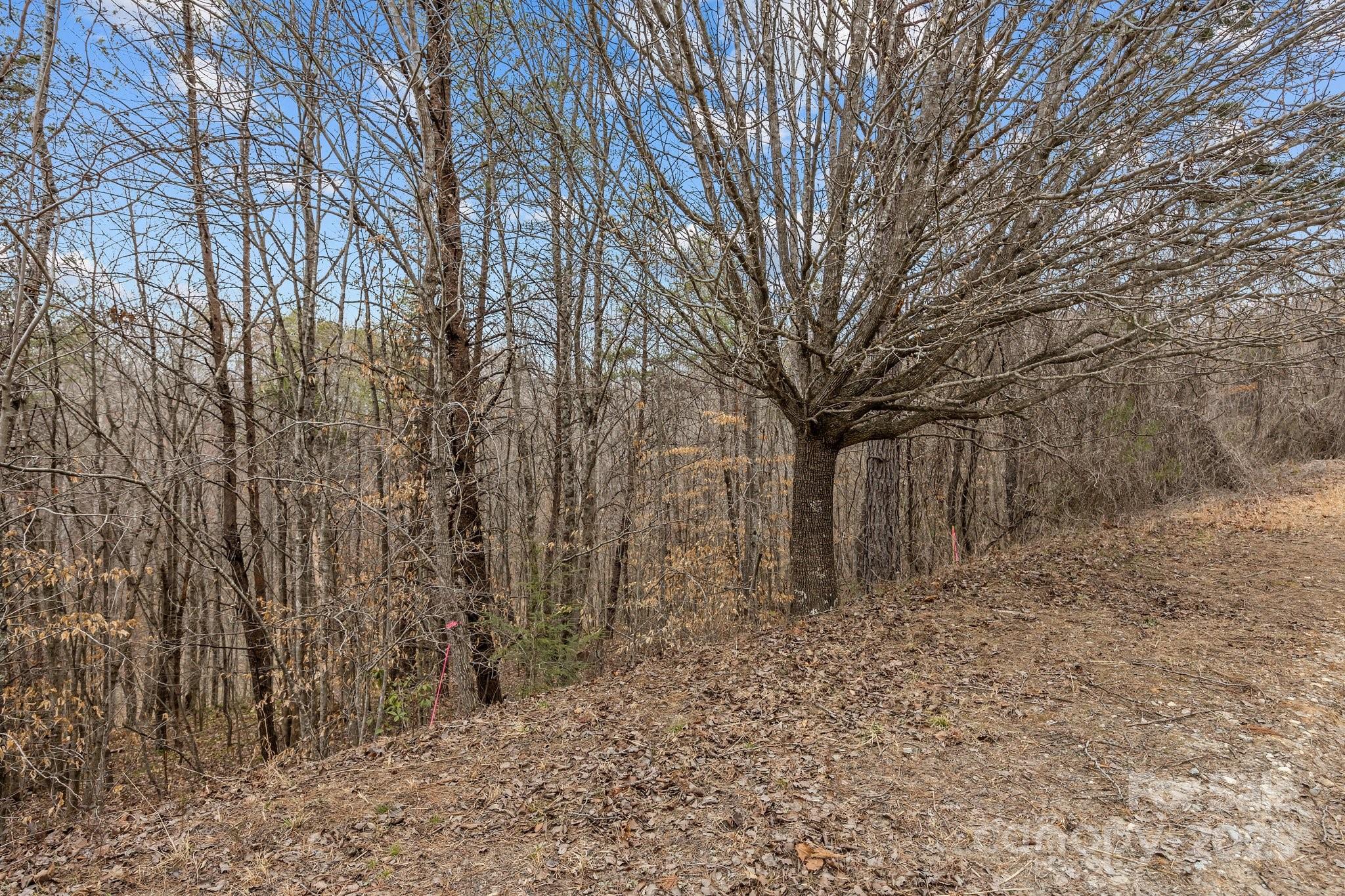 Glenhaven - Land