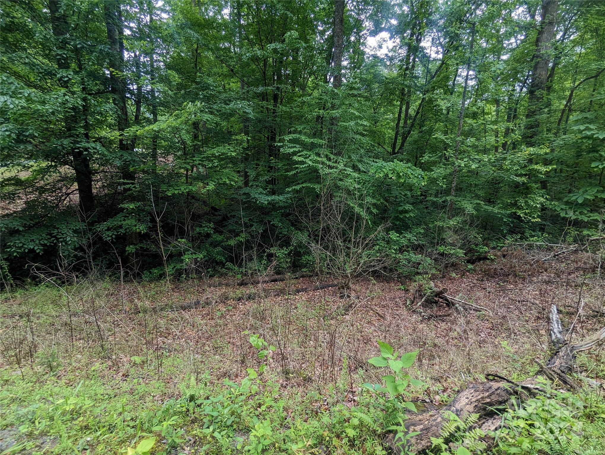 Riverbend Highlands - Land