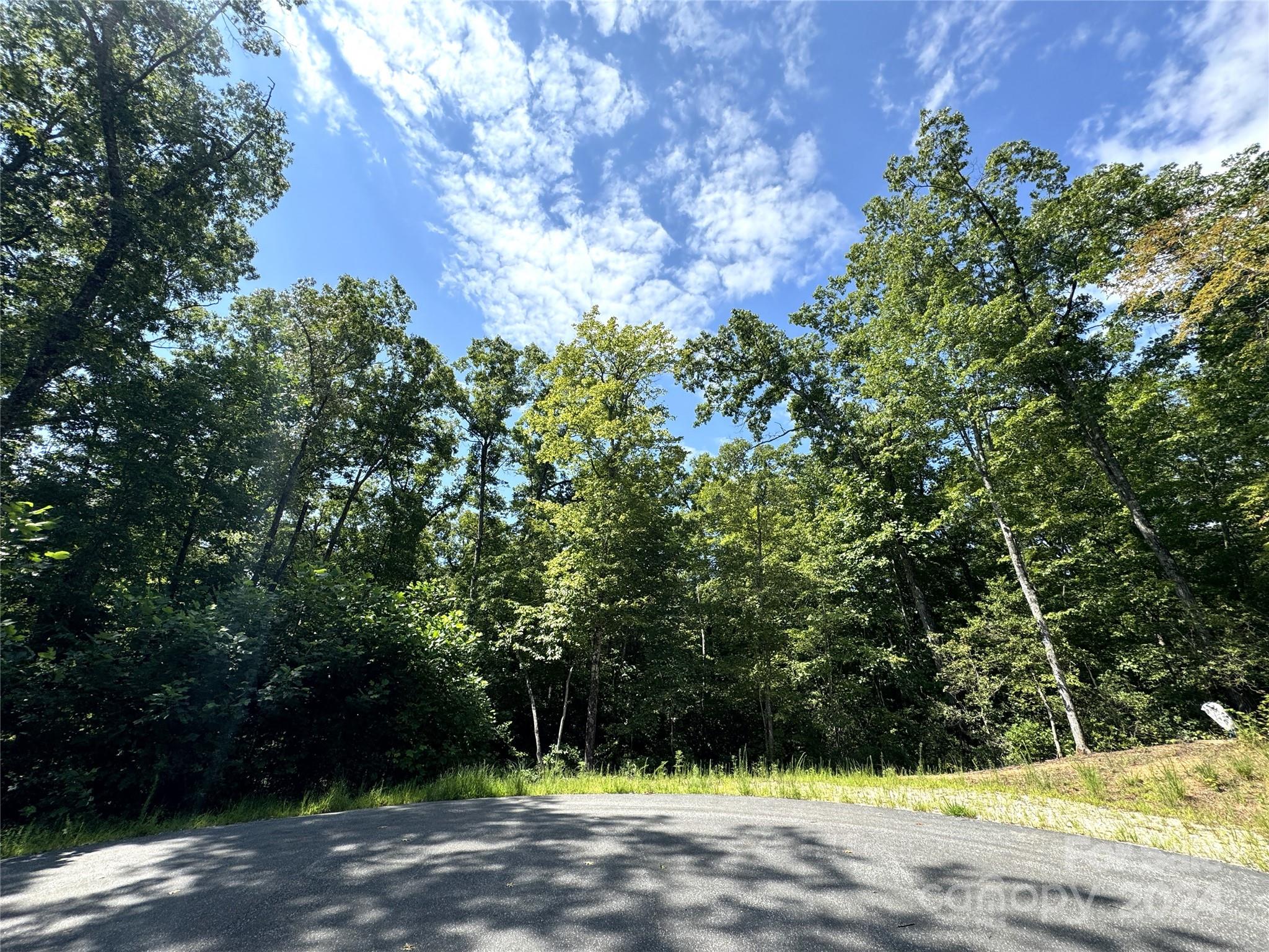 New and exciting opportunity for building in the Old Fort Community!  Be the first to build in the unspoiled richness of Cherry Cove Subdivision, located just a couple of miles from the town center of Old Fort!  This property is situated just along US Highway 70 W.  It is a wooded and private new area that offers so much! Minutes away from downtown Old Fort, Marion and Black Mountain, you will have quick and easy access to restaurants, breweries, shopping, hiking, kayaking, biking and so much more.  I-40 is also an easy access for longer trips to Hickory, Charlotte, Asheville and Tennessee.  This wooded lot sits at the end of the cul-de-sac on Cherry Cove Lane.  Countless rhododendrons, trilium, ferns and much more can be found on the land in this subdivision.  Come and and see today!