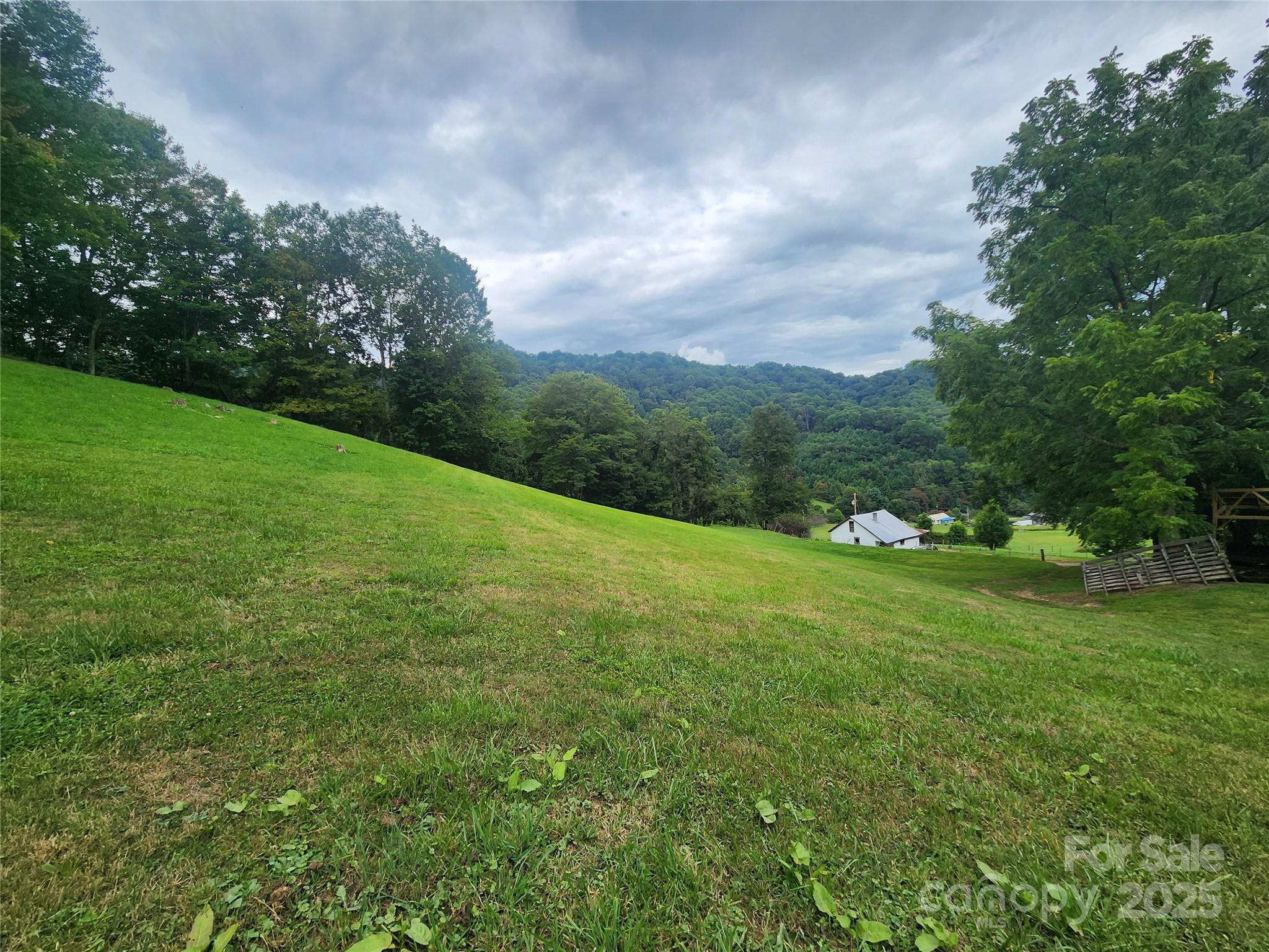 Welcome to this beautiful 86 +/- acre family farm located in the heart of Madison County. This farm offers many possibilities such as farming, grazing for all of your livestock and multiple building sites. You will find multiple springs on the property as you wonder the old soiled road beds to the top of the ridge where there are views of mountains and vistas for miles and miles. The old log barn that is on the property will be a great source for animals and hay storage, there is also a large shed off of the side of the barn which offers many possibilities such as equipment storage or just use it for the farm animals. There is a small house on the property that is of no value and should not be entered. This farm is being sold as is where is. Schedule your showing today because this is one of those special farms that does not come along very often!