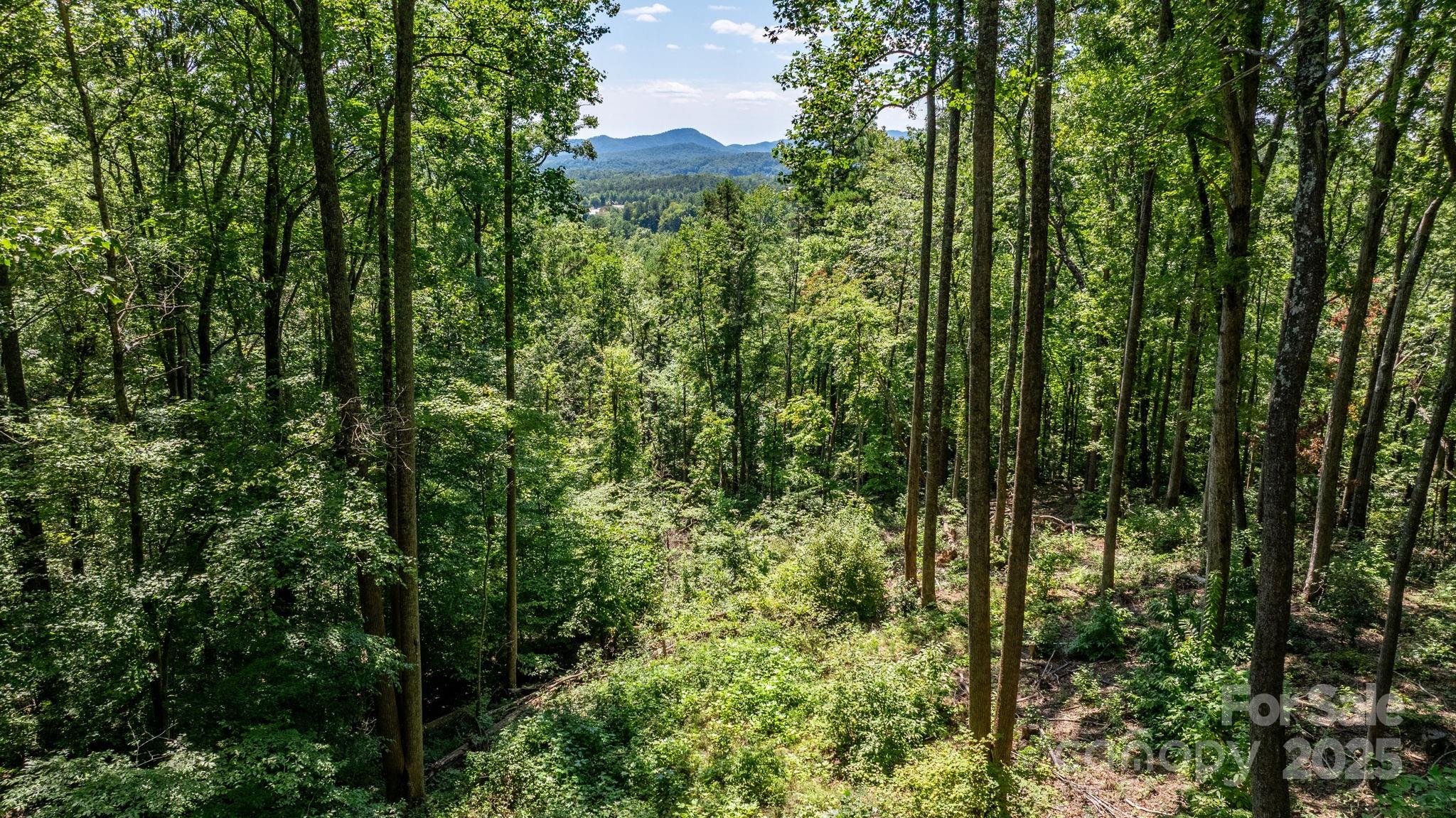 Grants Mountain - Land