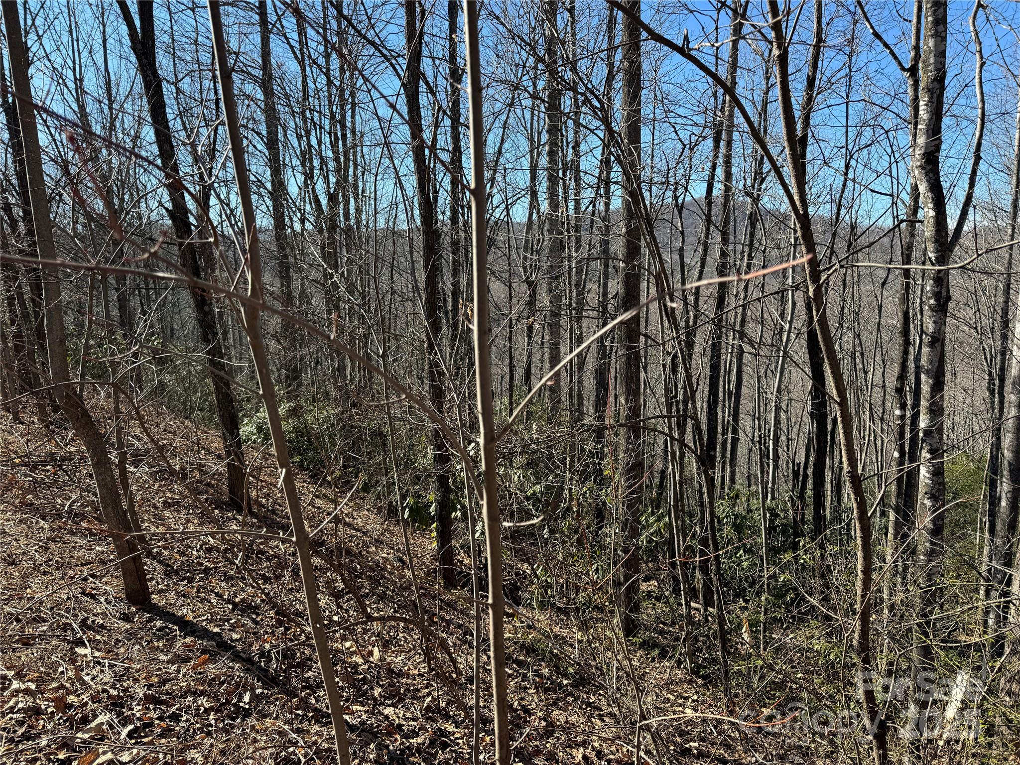 Catawba Falls Preserve - Land