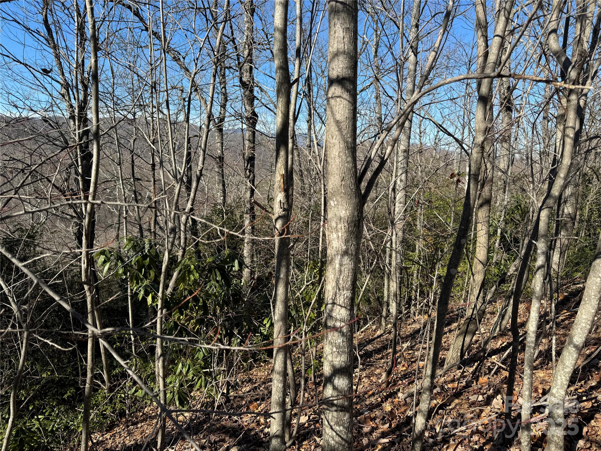 Catawba Falls Preserve - Land