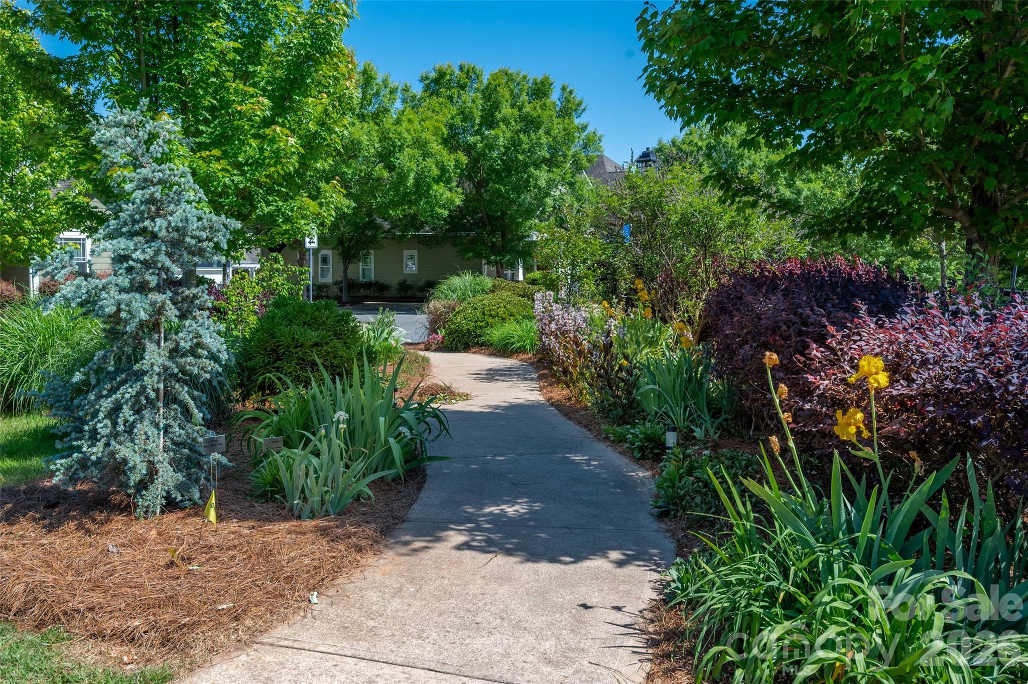 Antiquity - Residential