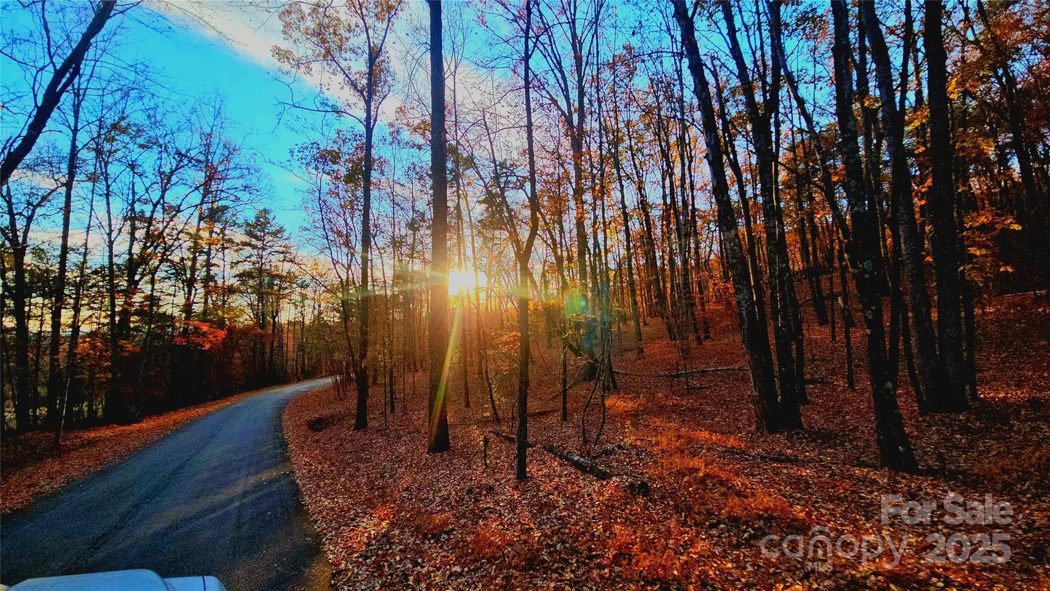 New Forest Mountain - Land