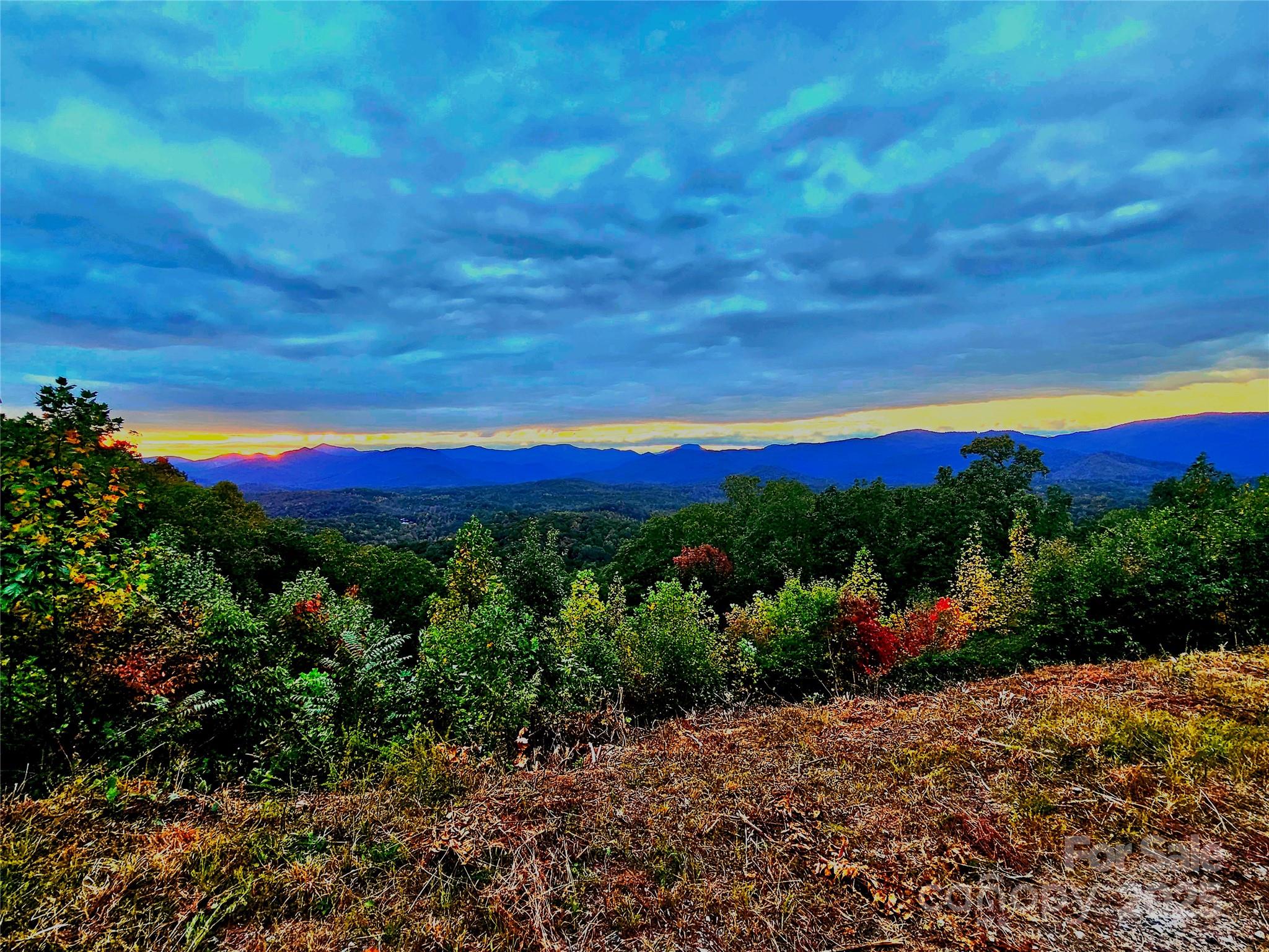 New Forest Mountain - Land