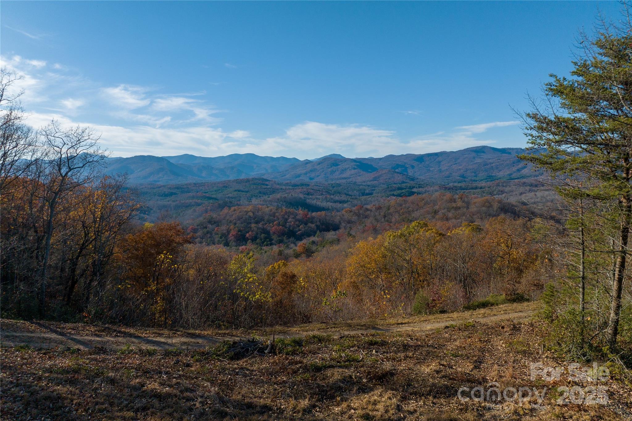 New Forest Mountain - Land