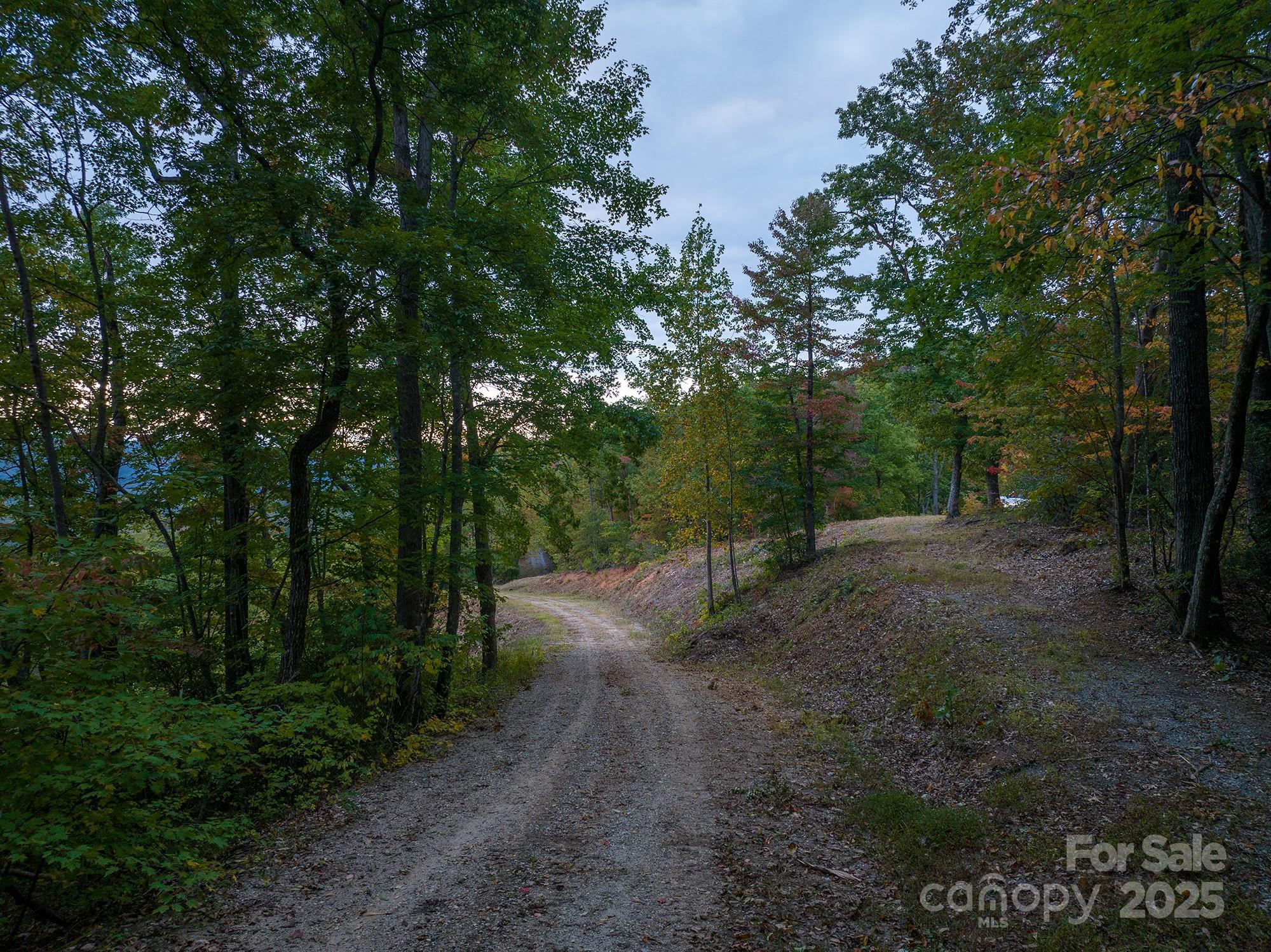 New Forest Mountain - Land