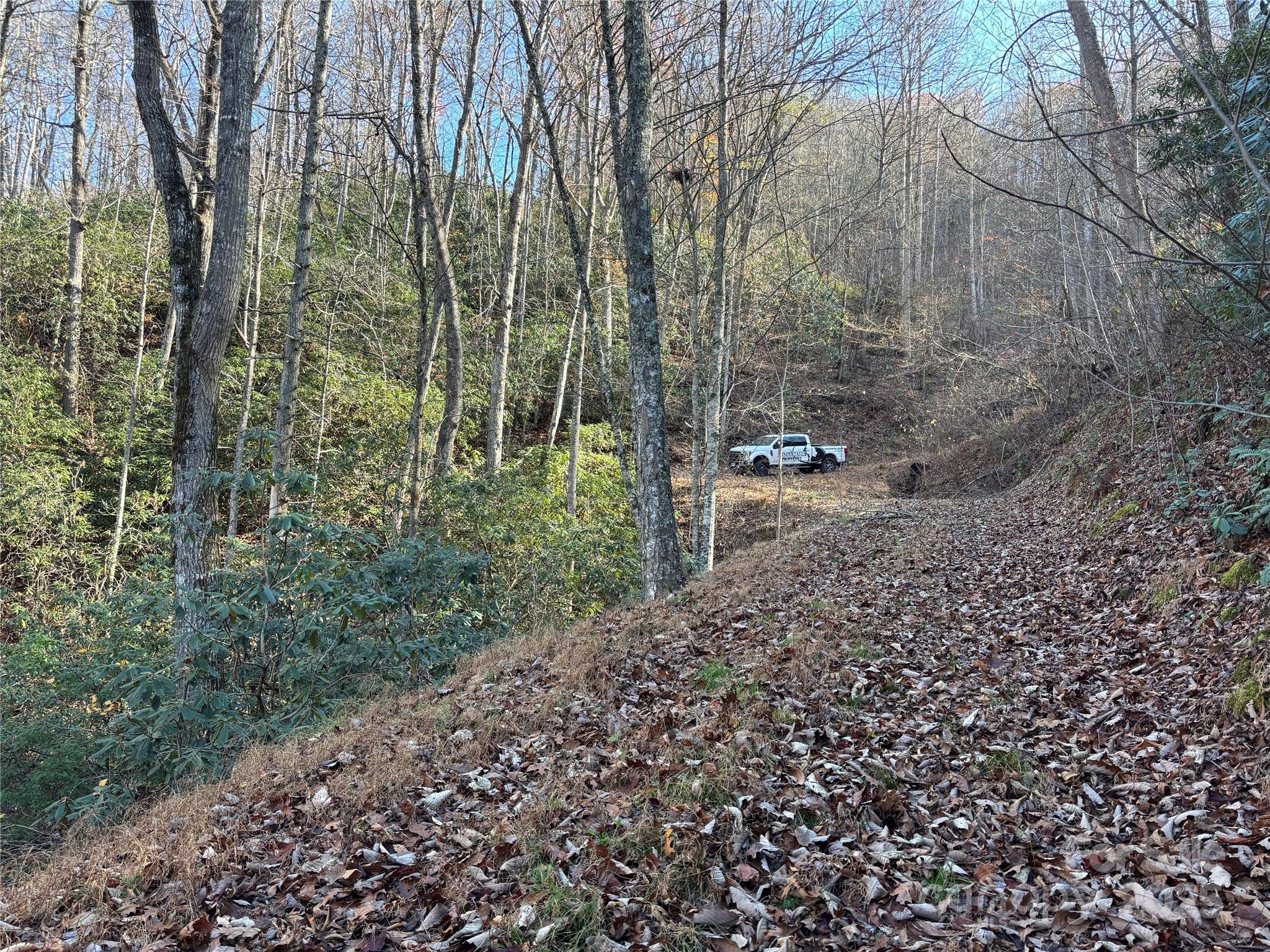 Brush Creek Properties - Land
