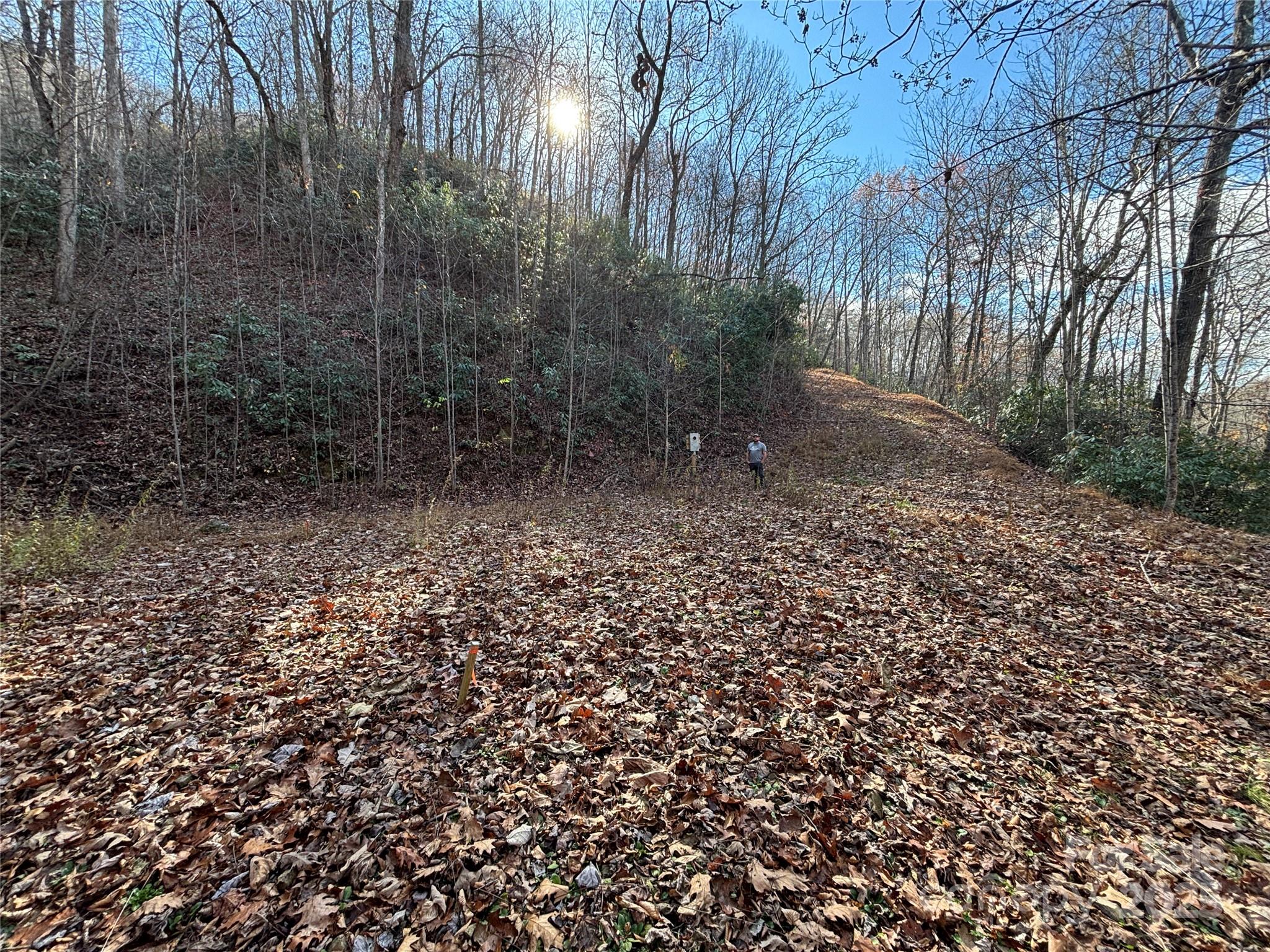 Nestled in Bryson City, this 14.25+/- acre property offers an opportunity to own a peaceful, creek-front parcel in the heart of the Smoky Mountains. A perfect setting for your mountain retreat, the property comes with a cleared house site already in place, a 2-bedroom septic system installed, and underground power readily available, saving you time & effort when it comes to building. Whether you’re looking for a private getaway or a place to create lasting memories with family & friends, this property provides the ideal canvas. Located just minutes from Bryson City, enjoy easy access to the area's charming shops, restaurants, & outdoor recreation opportunities, including hiking, fishing, & boating on Fontana Lake. Don’t miss the chance to own this incredible property – a perfect blend of seclusion and convenience, with a beautiful creek-side location and the infrastructure already in place to start building your mountain home today. HOA Website - https://www.brushcreekhoa.com/index.htm