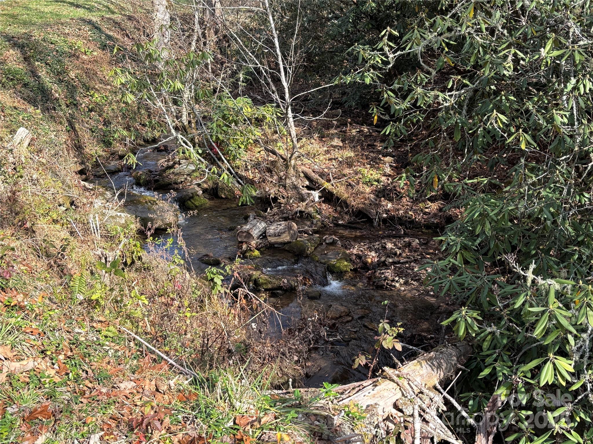 Brush Creek Properties - Land