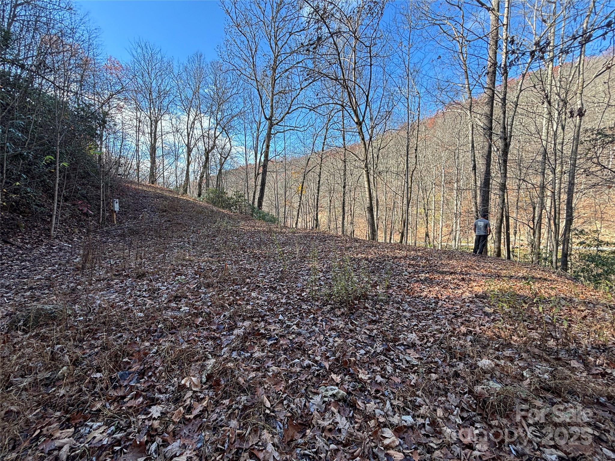 Brush Creek Properties - Land