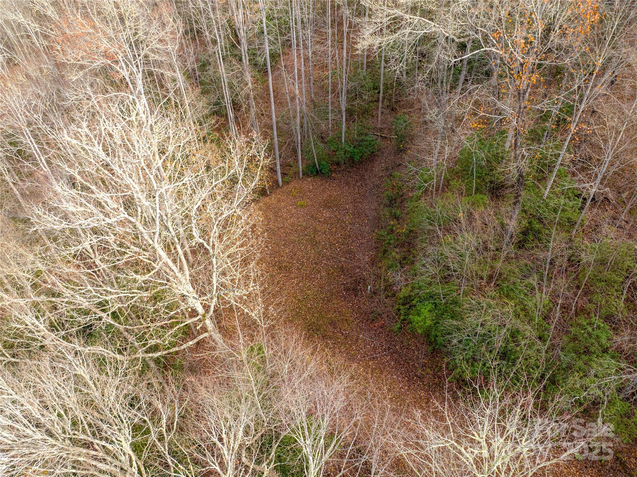 Brush Creek Properties - Land