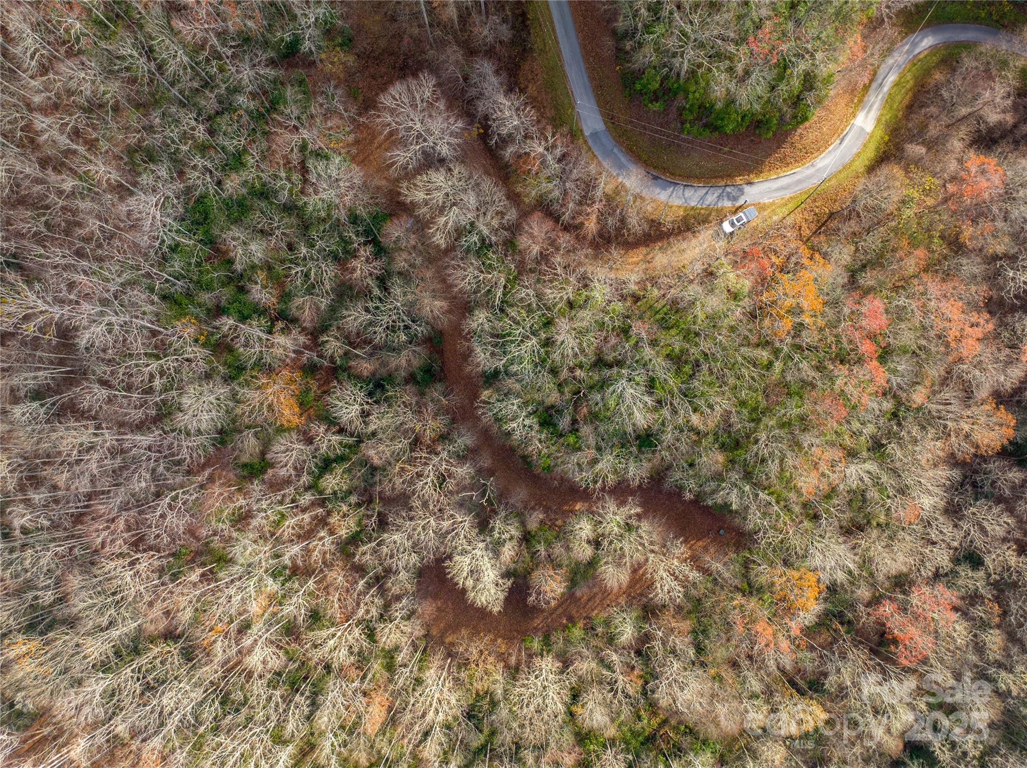 Brush Creek Properties - Land