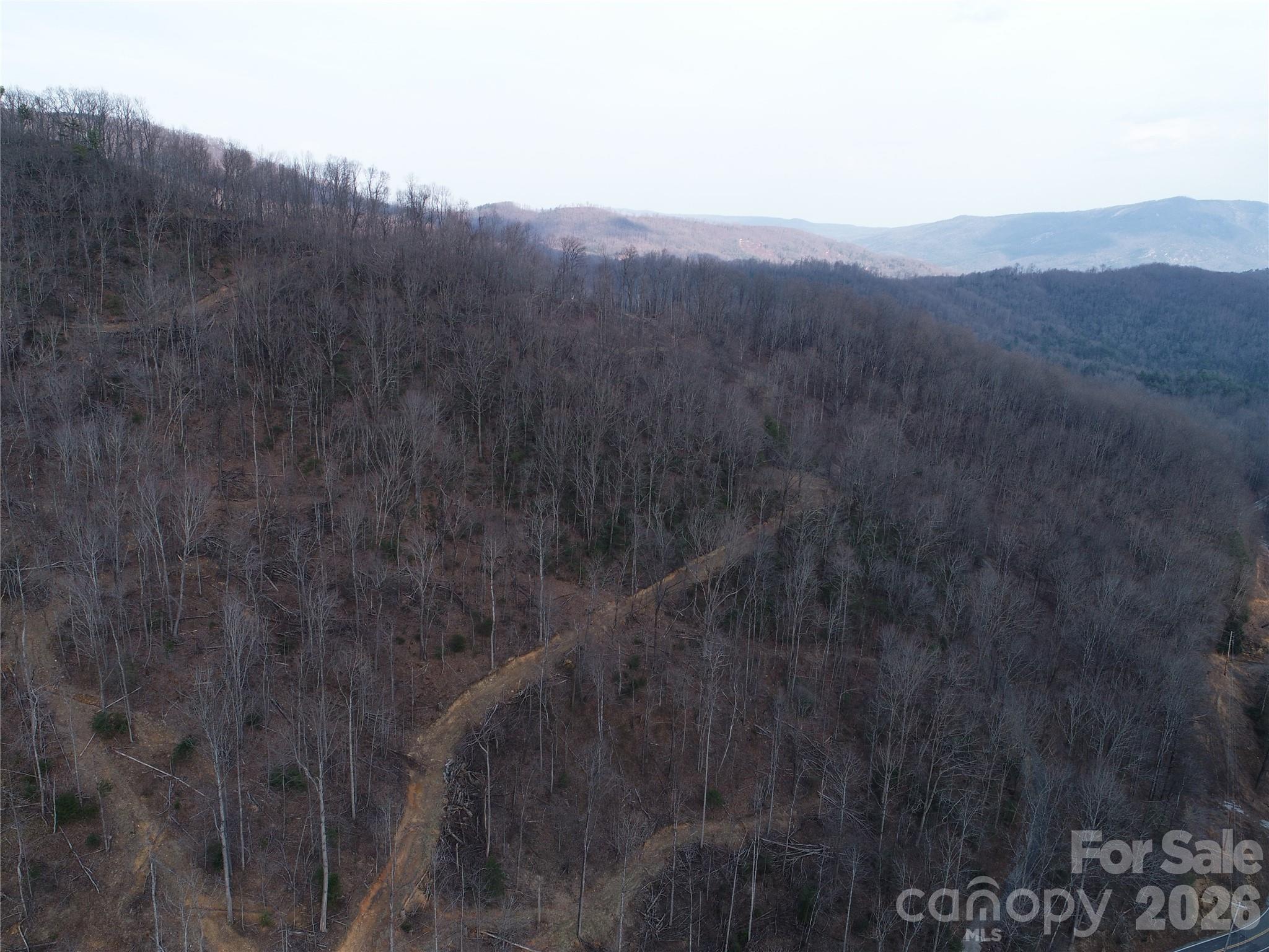 A private mountain tract of approximately 30 more-or-less acres near Little Switzerland and the Blue Ridge Parkway, this property offers a blend of elevation, privacy, and possibility. The land features several potential building sites across its varied terrain, with upper portions that may offer views with selective clearing. A home once stood on the property before being destroyed by Hurricane Helene, but a detached three-car garage and an existing well remain. The property has been previously logged, and the old logging roads now provide walkable access throughout the acreage. The septic permit was requested but not found, and no representation is being made regarding the condition of the garage, the well, the septic system, or the existence of any septic system. All mineral rights will transfer with the sale. This is an opportunity to shape a mountain retreat or future homesite in one of Western North Carolina’s most scenic high-country areas.