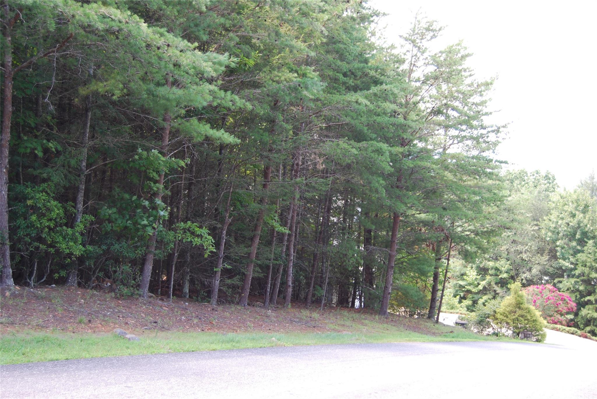 The Arbor at Lake James - Land