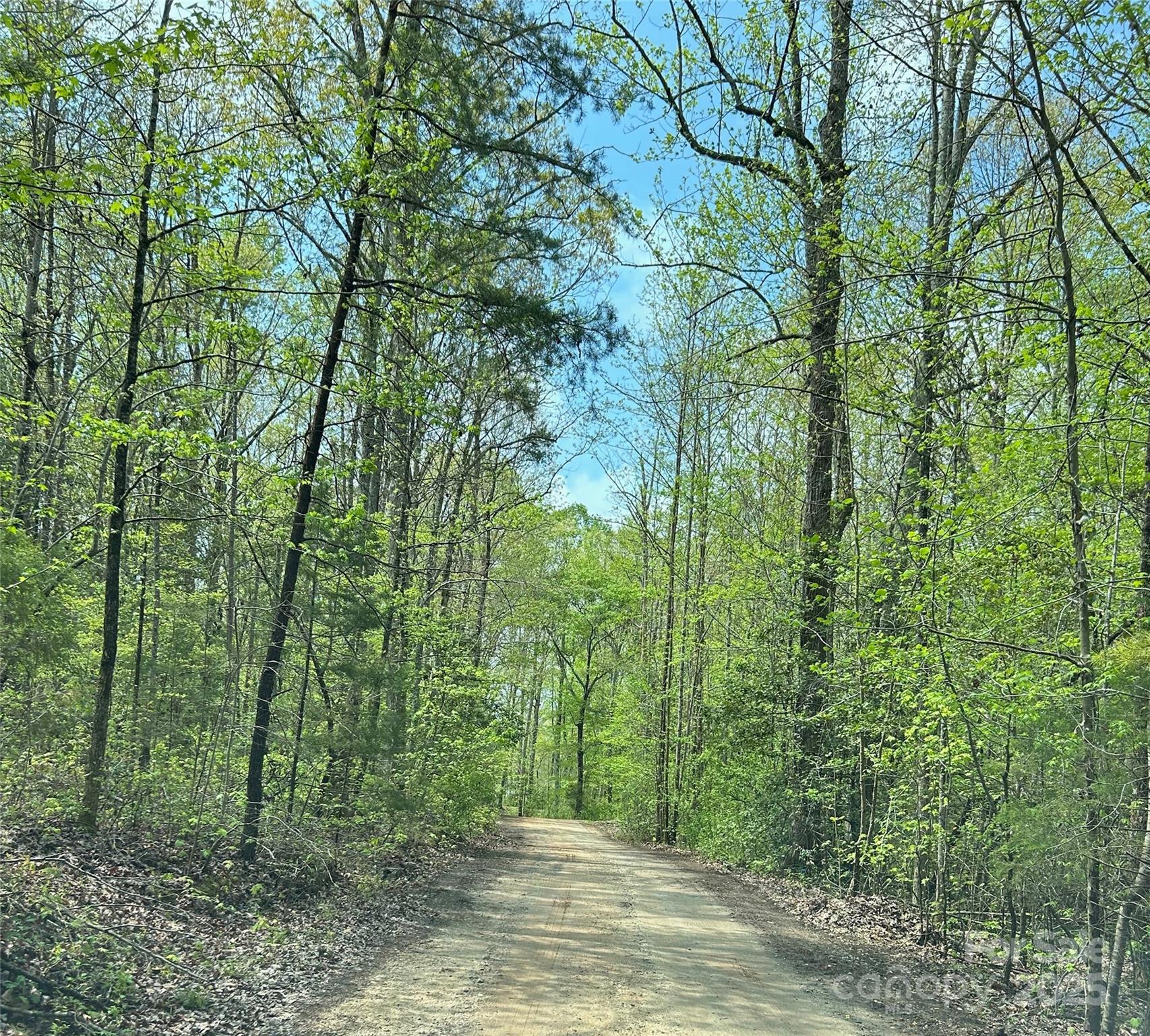 Prime Land Opportunity!  Unlock the potential of this exceptional piece of land, perfect for building your dream home or investment property. Located in the desirable area of Van Wyck, this land offers endless possibilities and a chance to create something truly special. Experience the tranquility of rural living while still being close to urban conveniences.  Essential utilities such as water, electricity, and sewage are readily accessible.