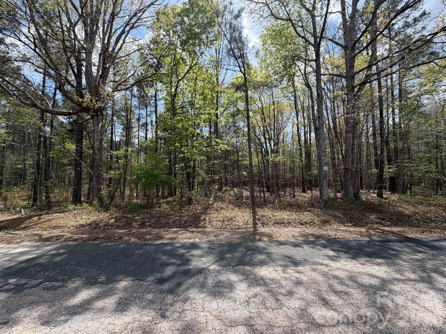 Discover the charm of this +/- 0.977 acre wooded lot, where nature and opportunity meet. A great location to design a custom home surrounded by natural beauty.