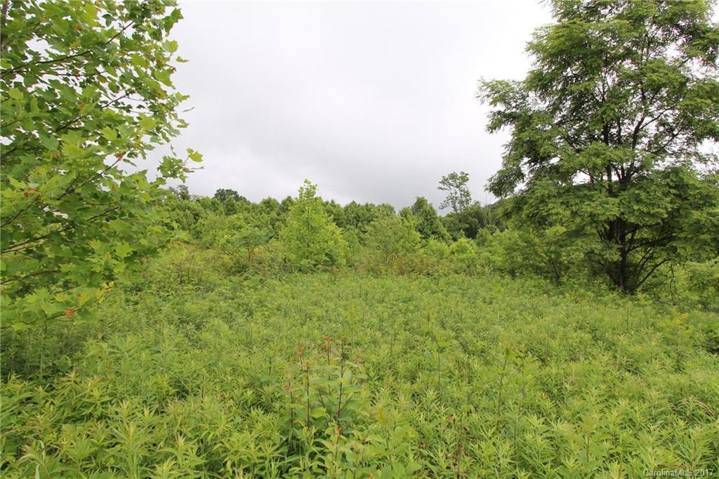 Gentle sloped, cleared lot with septic permit already obtained! Underground electricity available. Lot bundling a possibility.