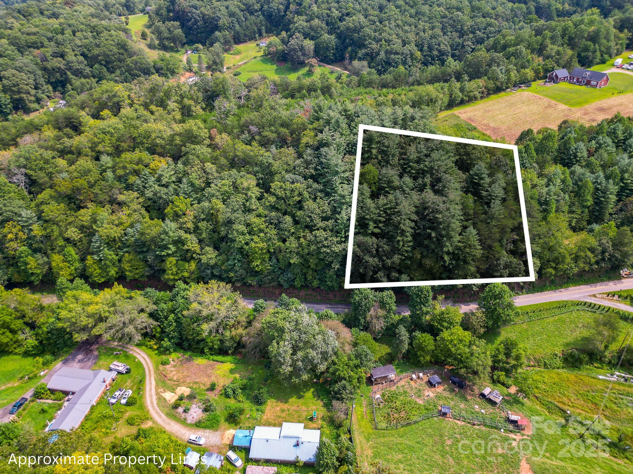 Beautiful 1.1 acre lot at the end of a quiet road offers peace, privacy, and the perfect mountain setting. The wooded, moderately sloped terrain gives flexibility to clear for year-round views while maintaining natural beauty. The property offers ample room for gardens, outdoor living, or simply enjoying the landscape. Picture your future porch or deck overlooking nature and taking in the sounds of the mountains. While tucked away, this property is just minutes from shopping, dining, schools, and conveniences, plus easy access to outdoor recreation and mountain adventures. A rare mix of seclusion and accessibility—ready for your dream home.