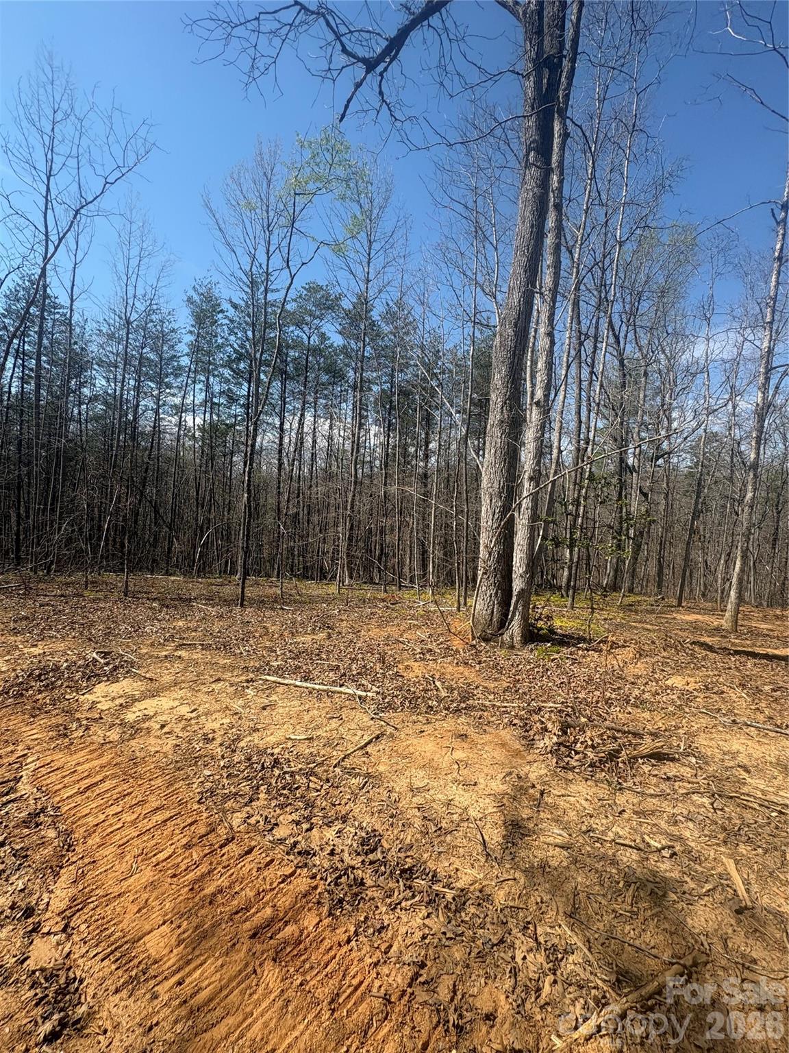 Beautiful wooded acreage with rolling terrain and a peaceful natural setting. This private tract offers a great mix of mature hardwoods, open cleared areas, and gentle slopes ideal for a future homesite . Enjoy mountain-style views, abundant wildlife, and plenty of space to explore while still being convenient to nearby amenities. A rare opportunity to own land with endless potential!